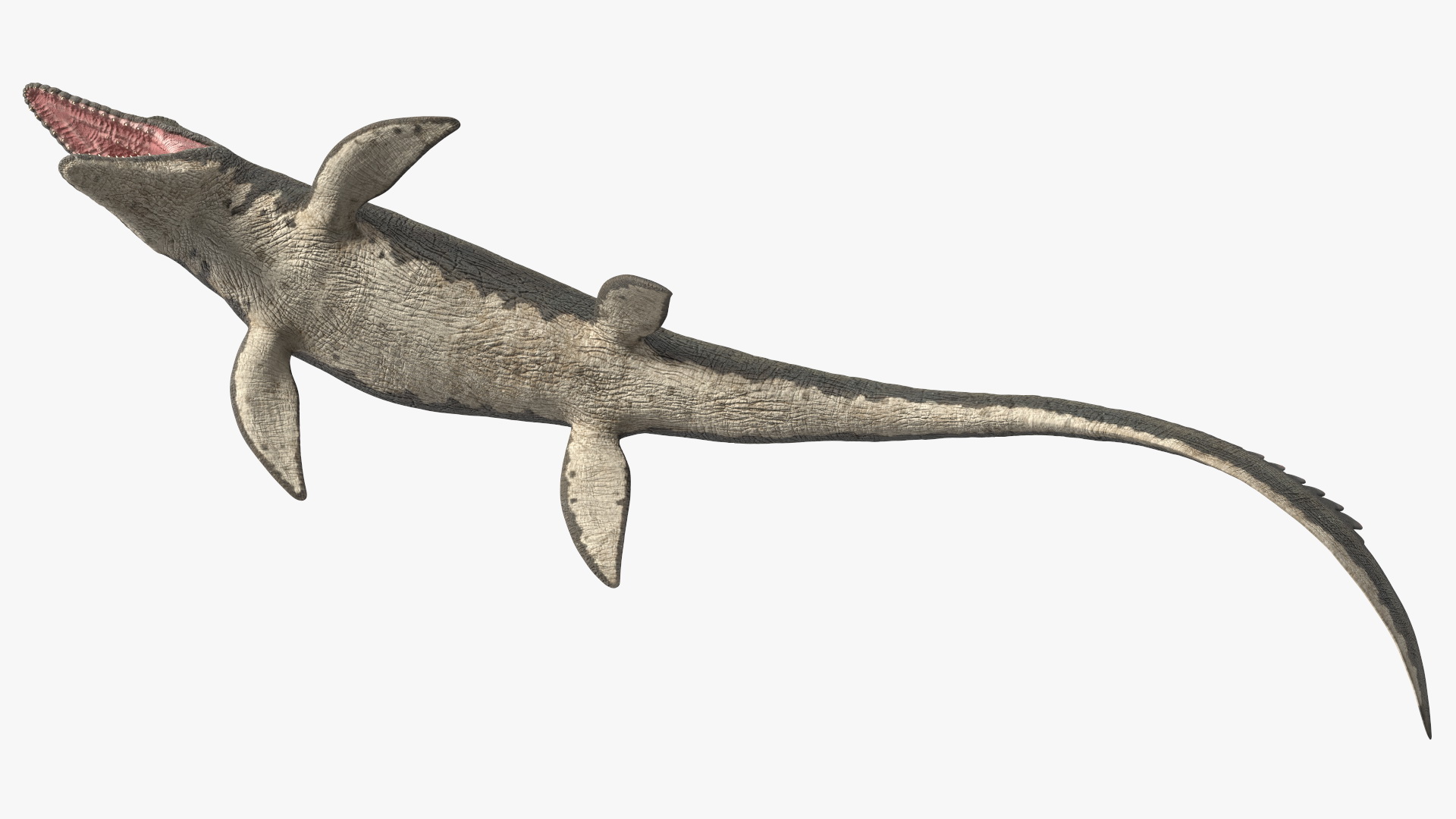 Mosasaurus Attack 3D