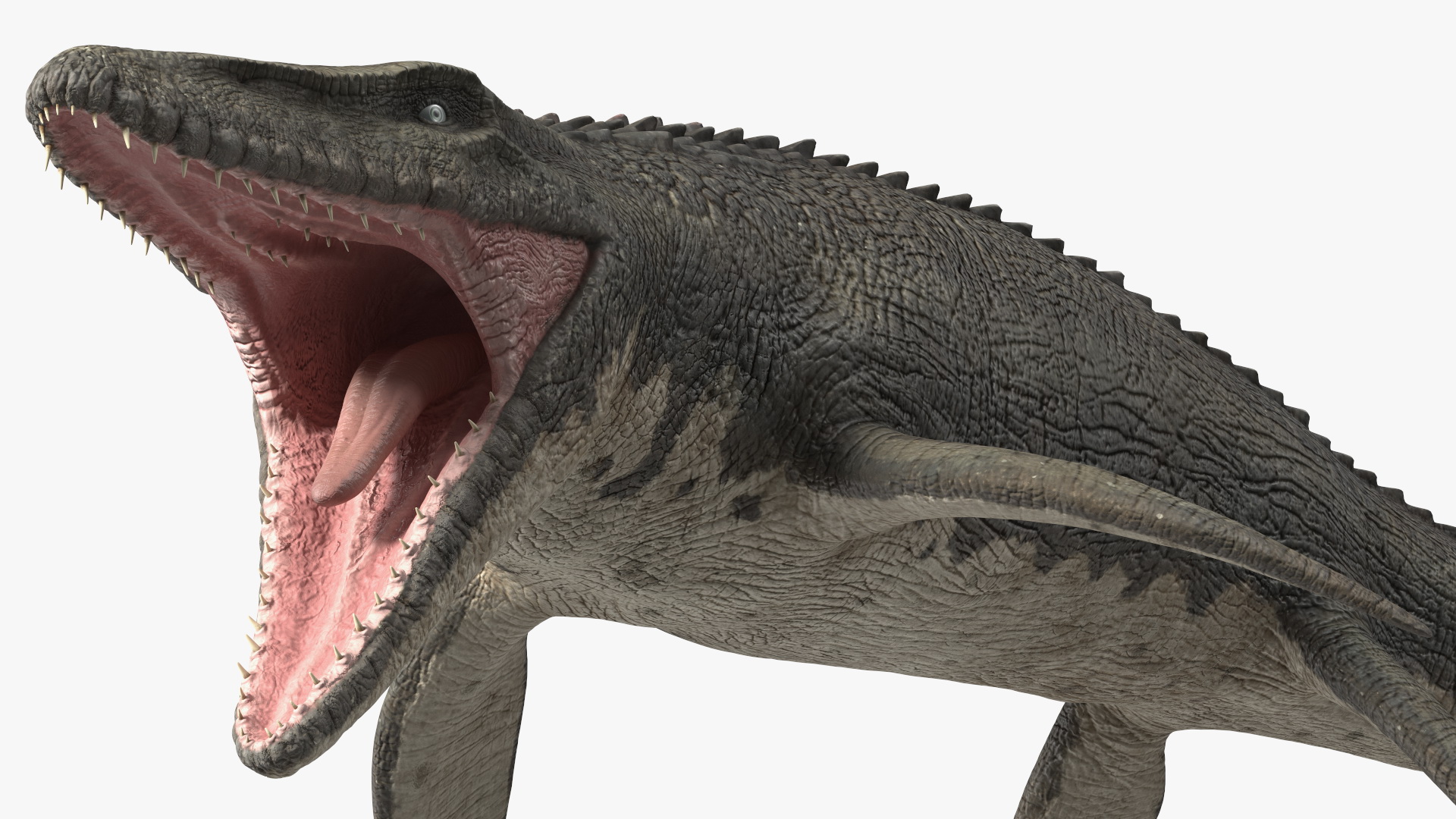 Mosasaurus Attack 3D