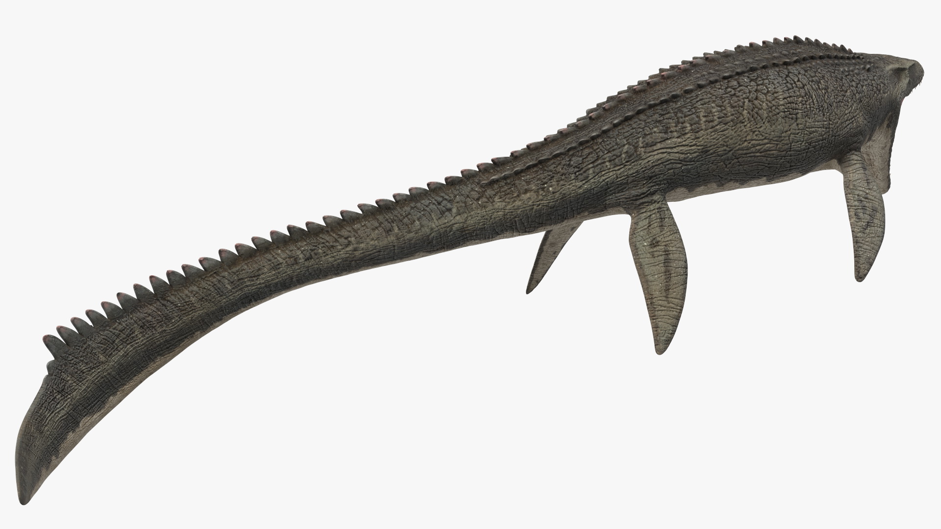 Mosasaurus Attack 3D