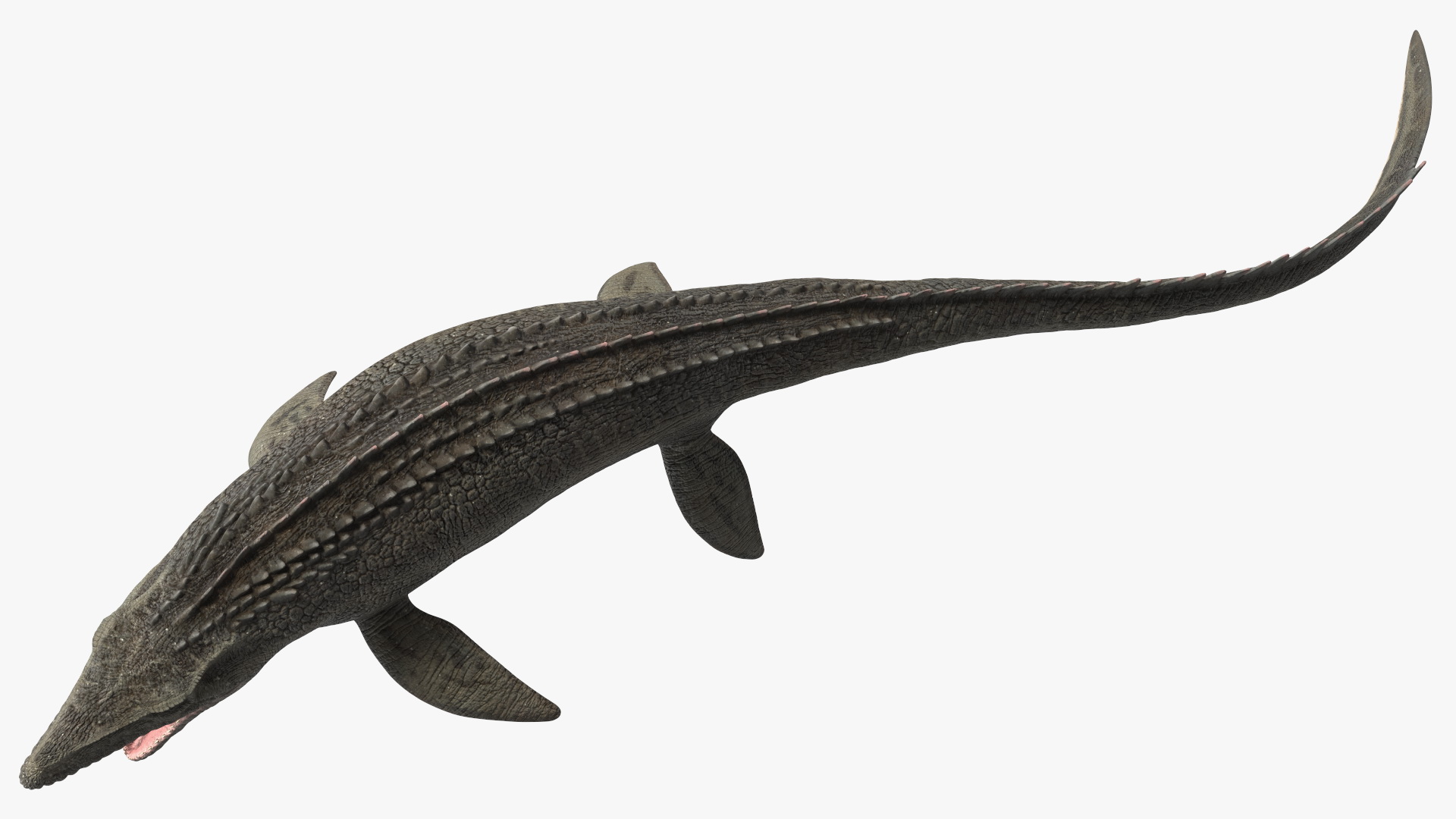 Mosasaurus Attack 3D