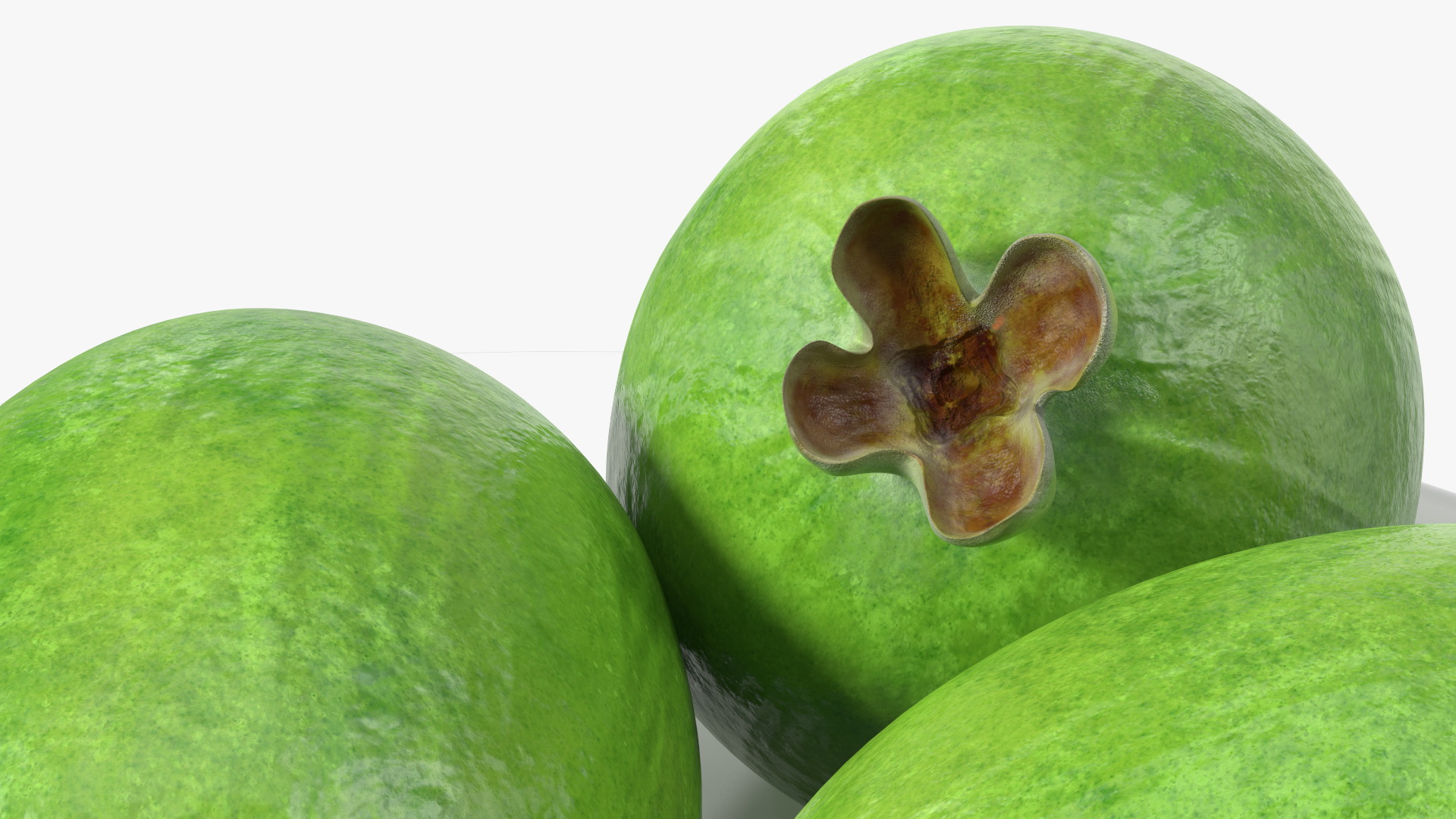 3D Heap Feijoa Fruit Plate model