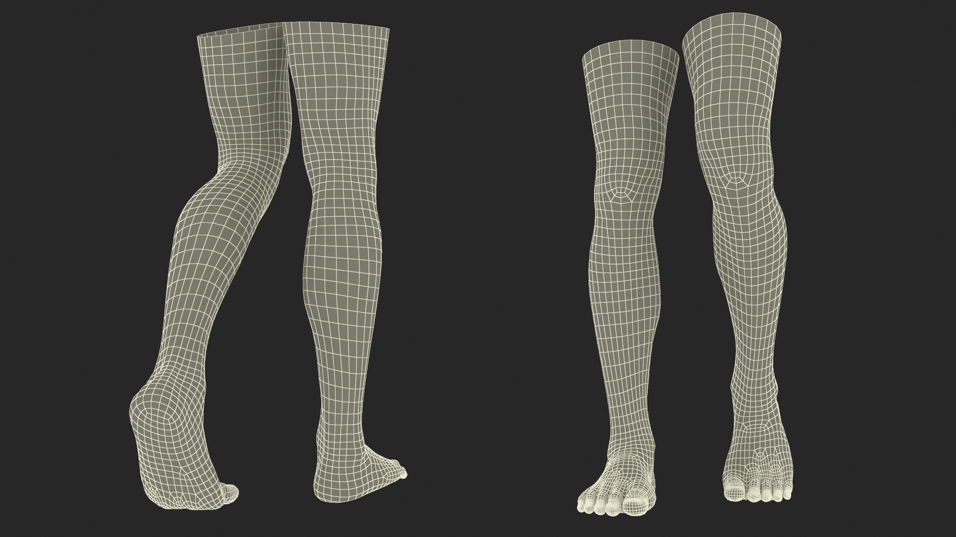 3D Realistic Man Legs in a Pose model