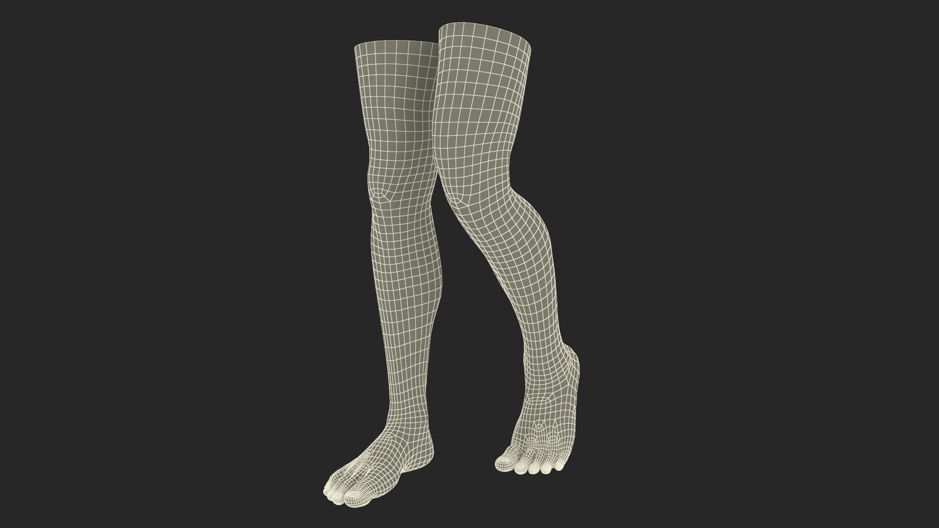 3D Realistic Man Legs in a Pose model