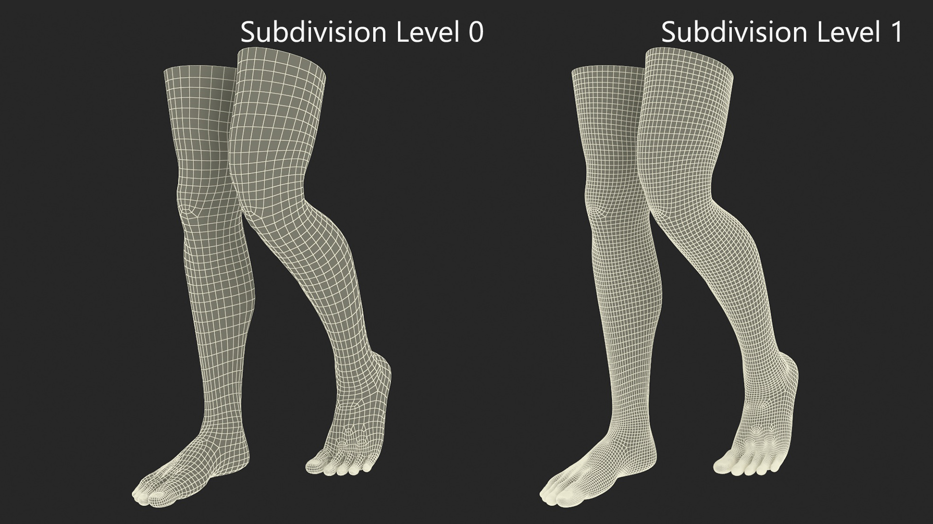 3D Realistic Man Legs in a Pose model