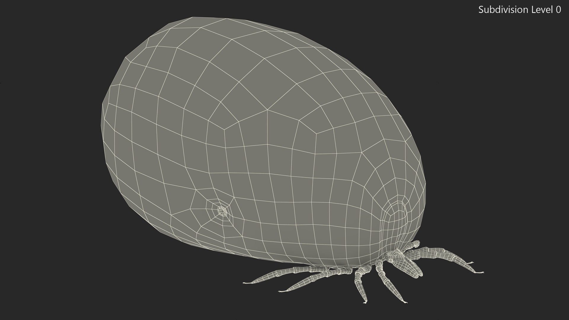 3D Bloated Tick Fur Rigged model