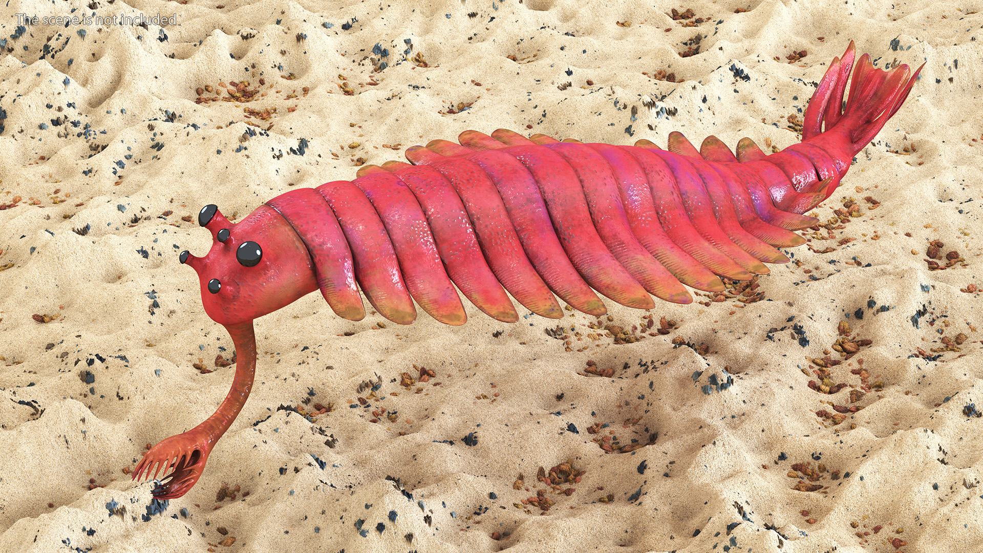 3D model Pink Opabinia Rigged