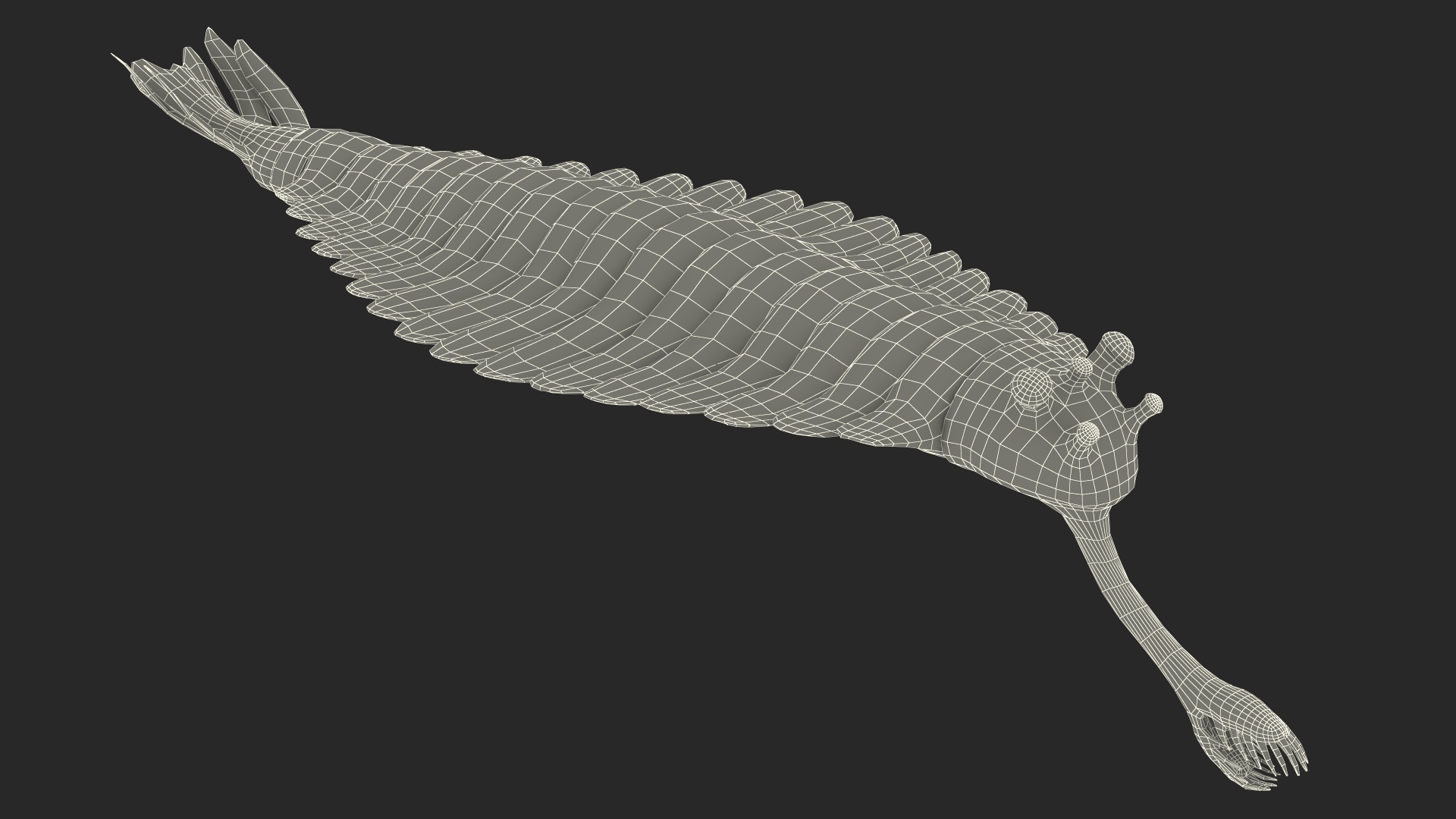 3D model Pink Opabinia Rigged