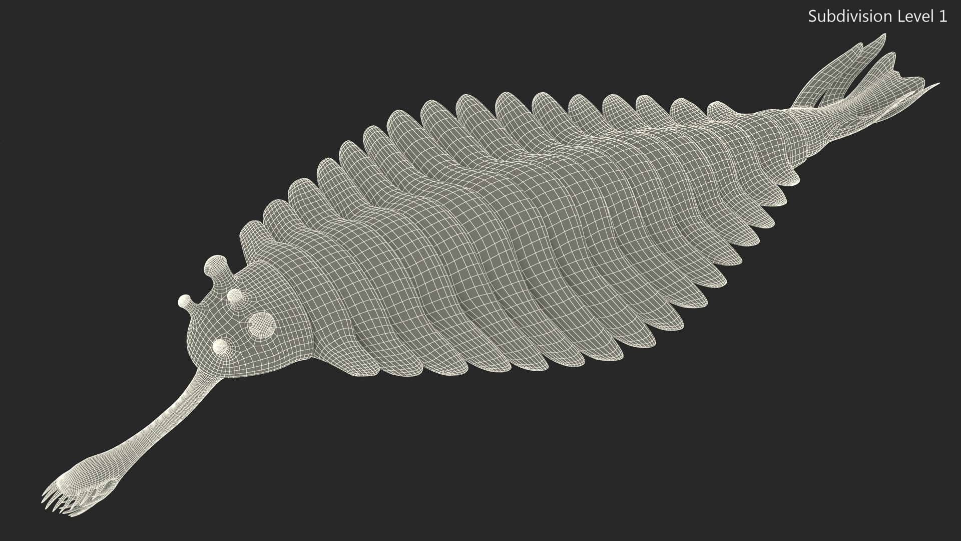 3D model Pink Opabinia Rigged