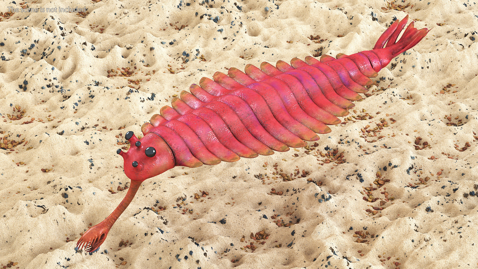 3D model Pink Opabinia Rigged