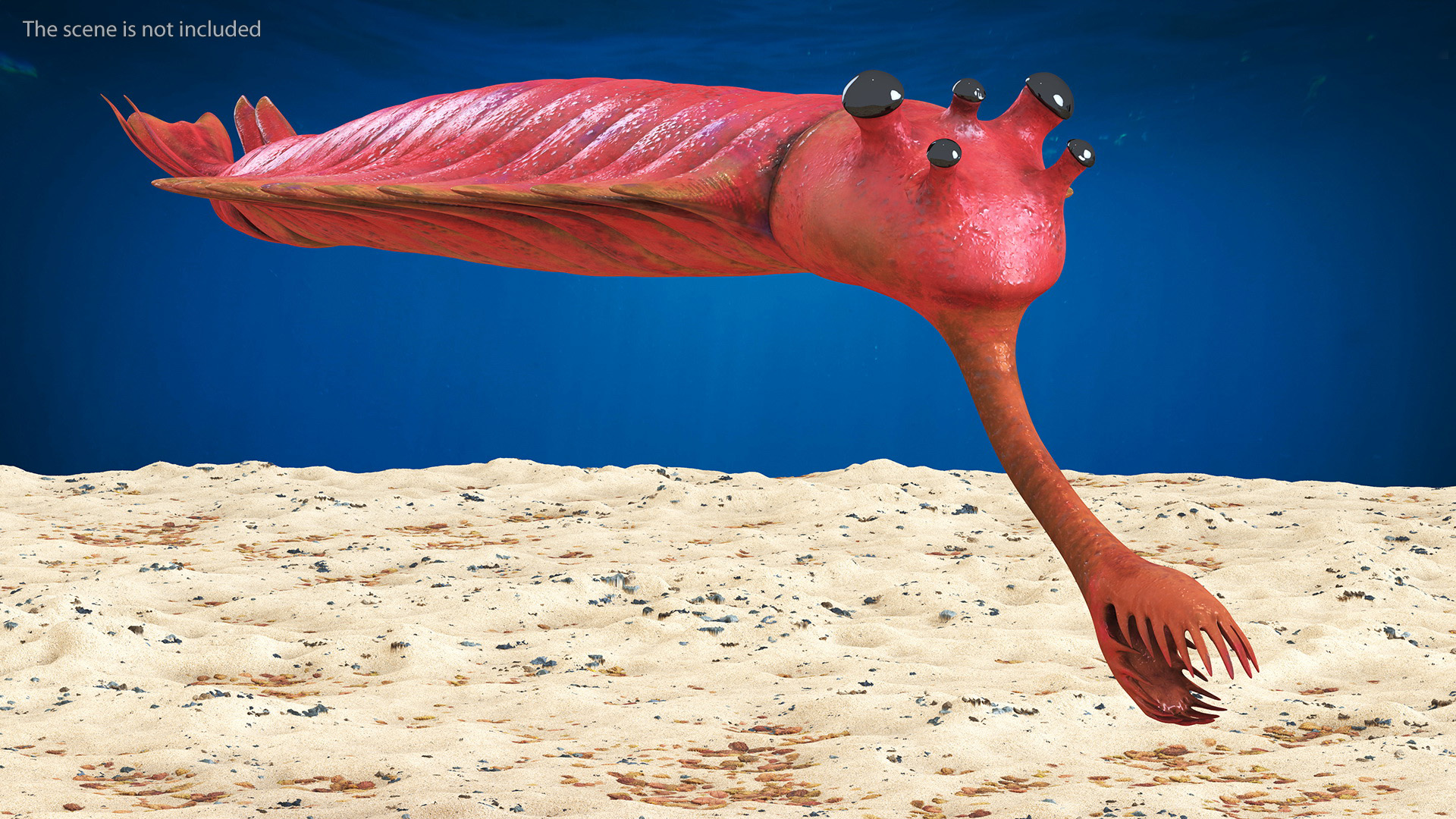 3D model Pink Opabinia Rigged