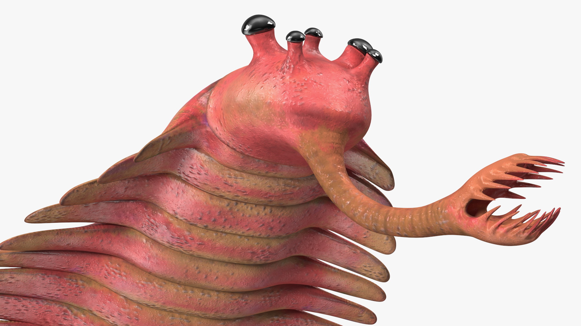 3D model Pink Opabinia Rigged