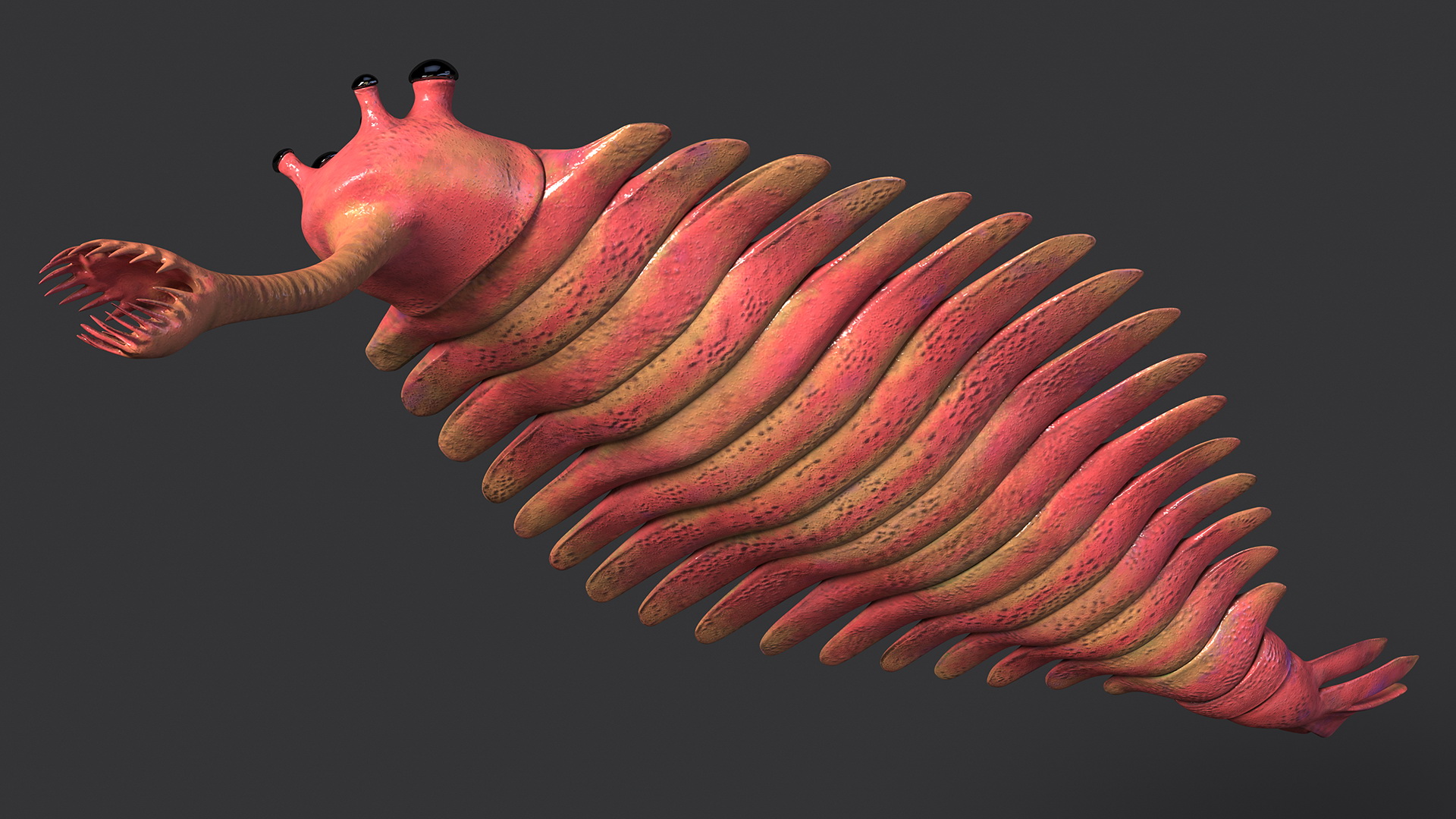 3D model Pink Opabinia Rigged