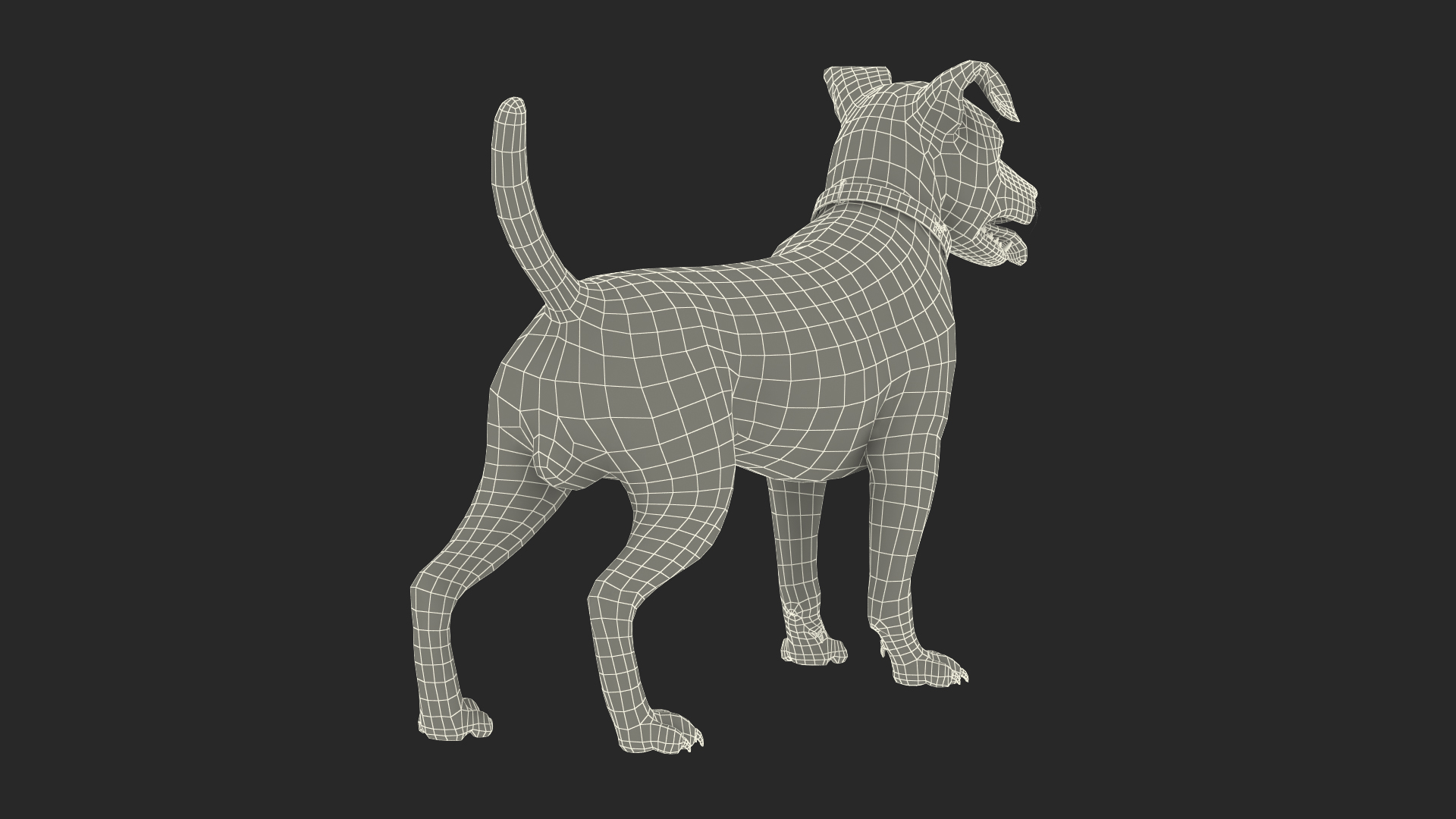 Jack Russell Terrier Spotted Attention Pose Fur 3D