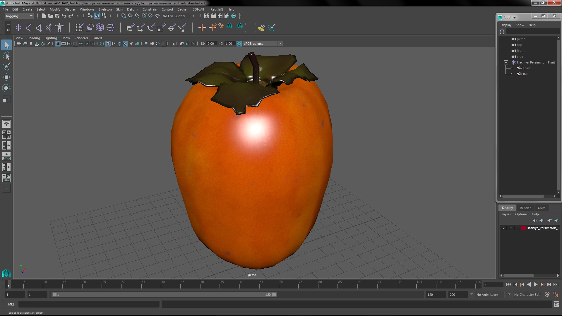 3D Hachiya Persimmon Fruit model