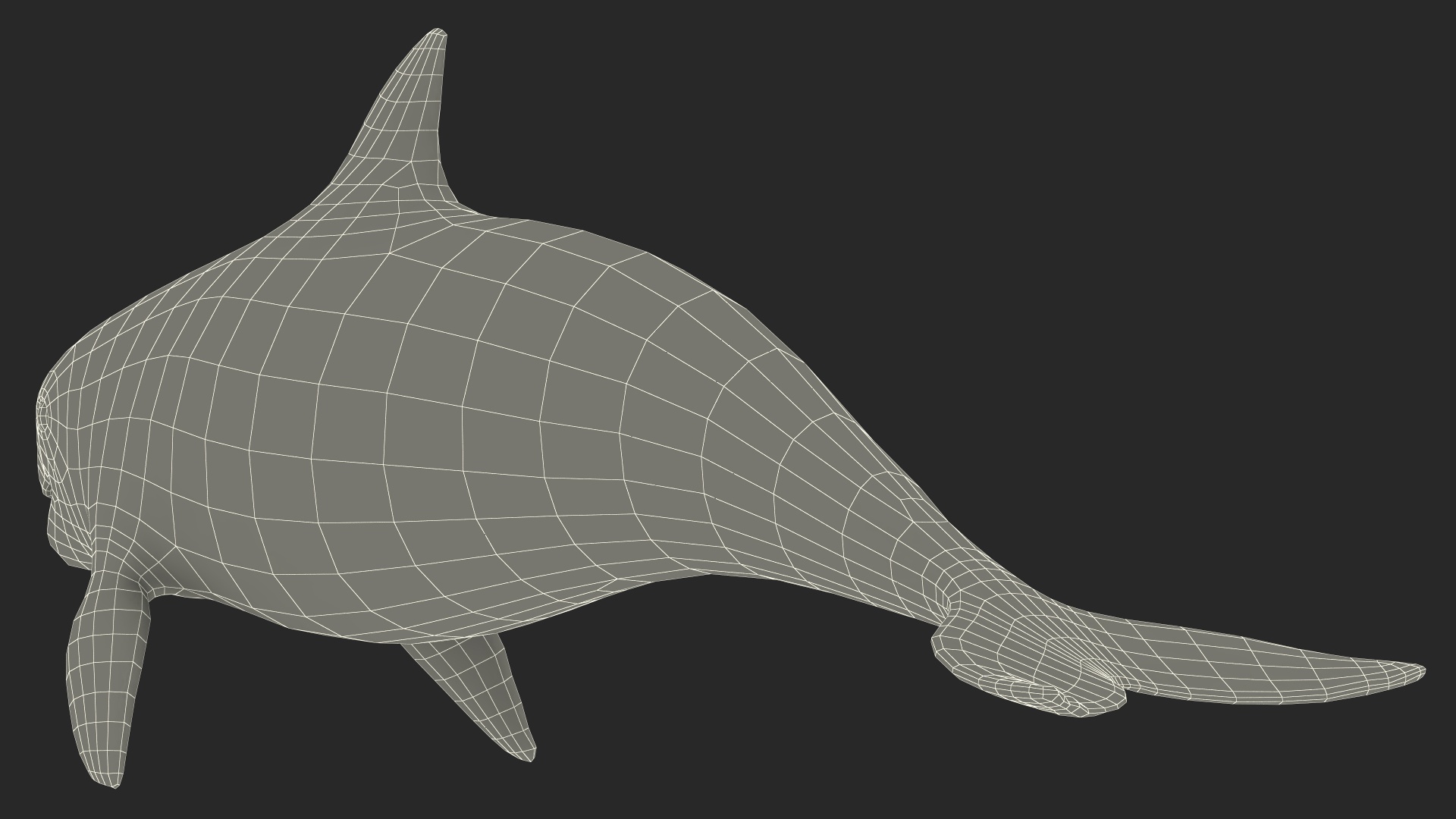 Marine Mammal Vaquita Basic Pose 3D