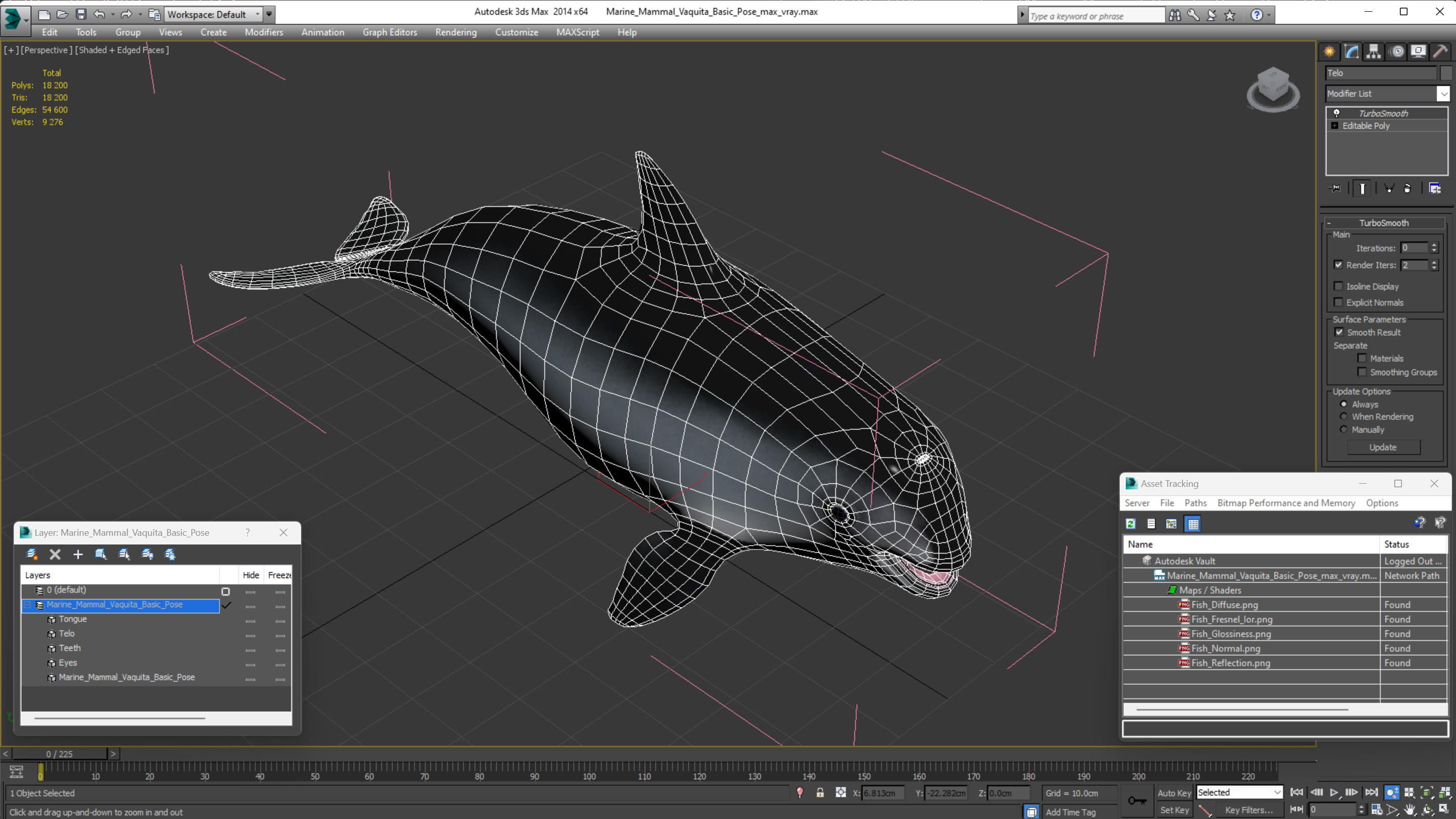 Marine Mammal Vaquita Basic Pose 3D