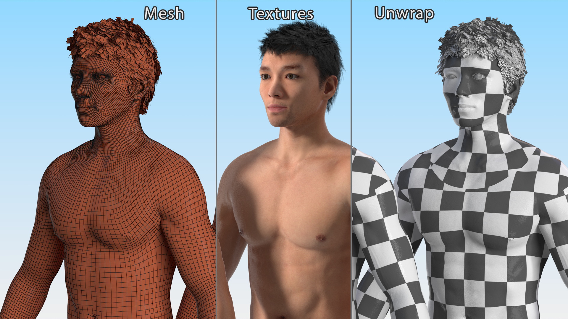 3D Asian Male Body Anatomy model