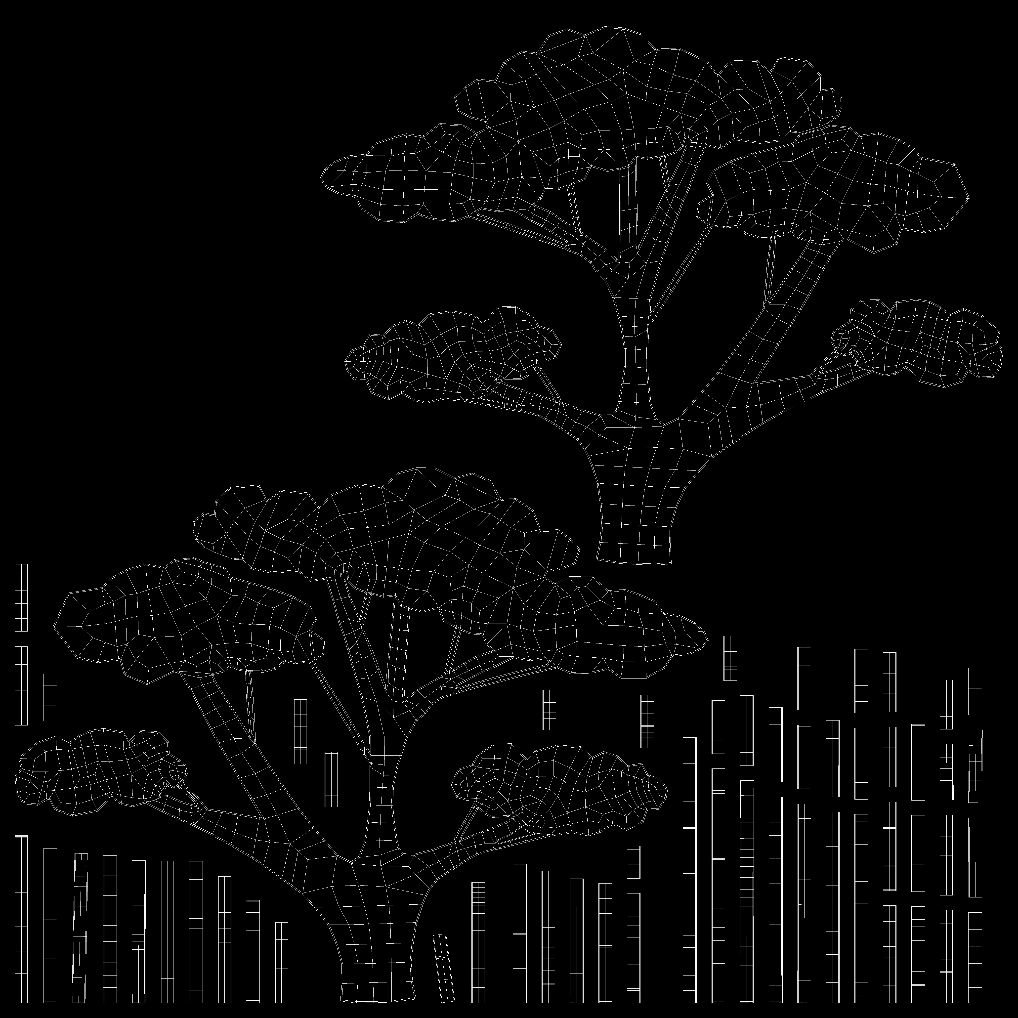 Bonsai Silhouette 3D