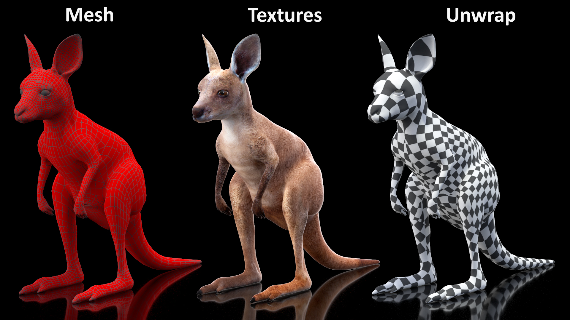 3D Baby Kangaroo model