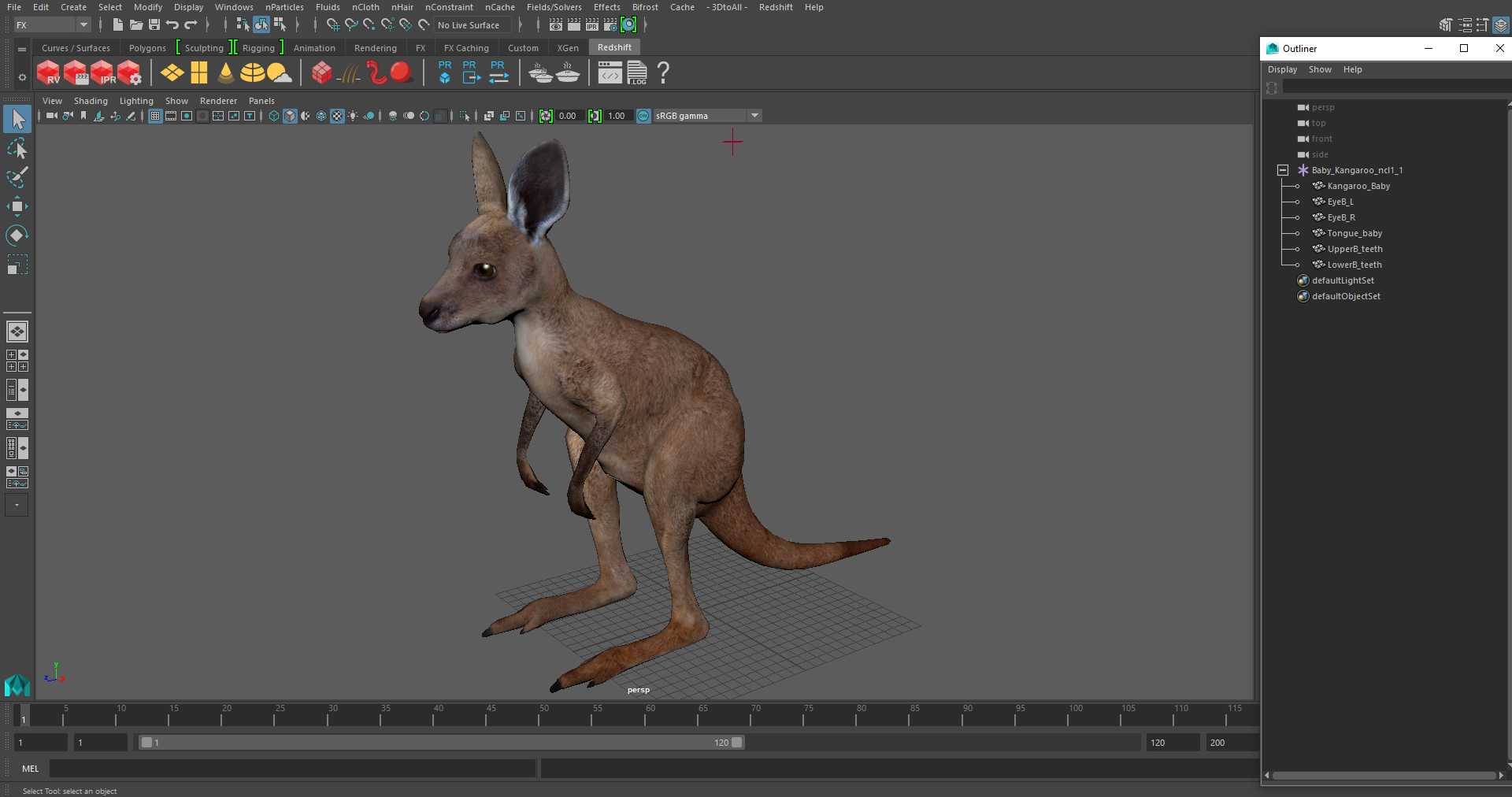 3D Baby Kangaroo model