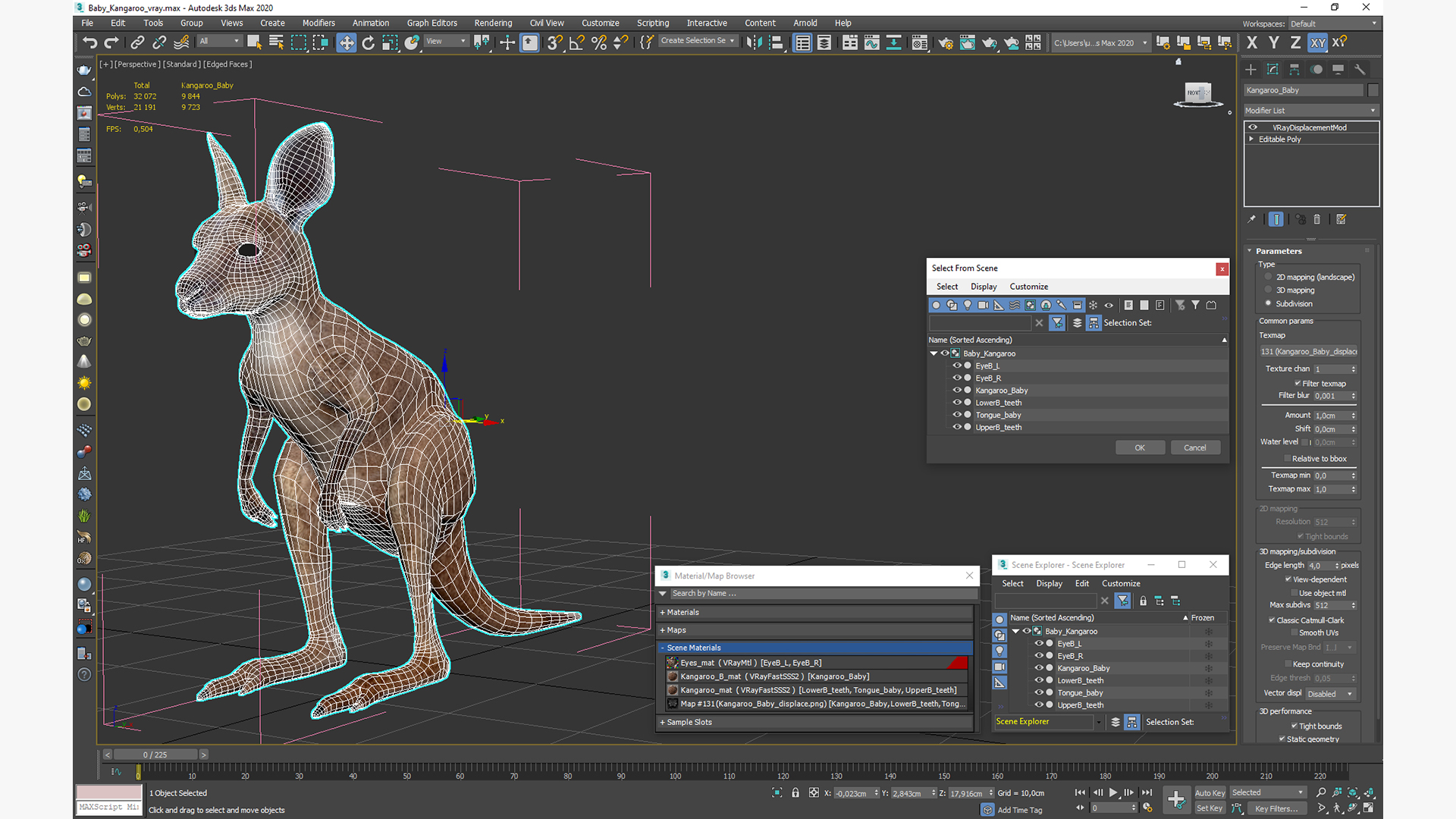 3D Baby Kangaroo model