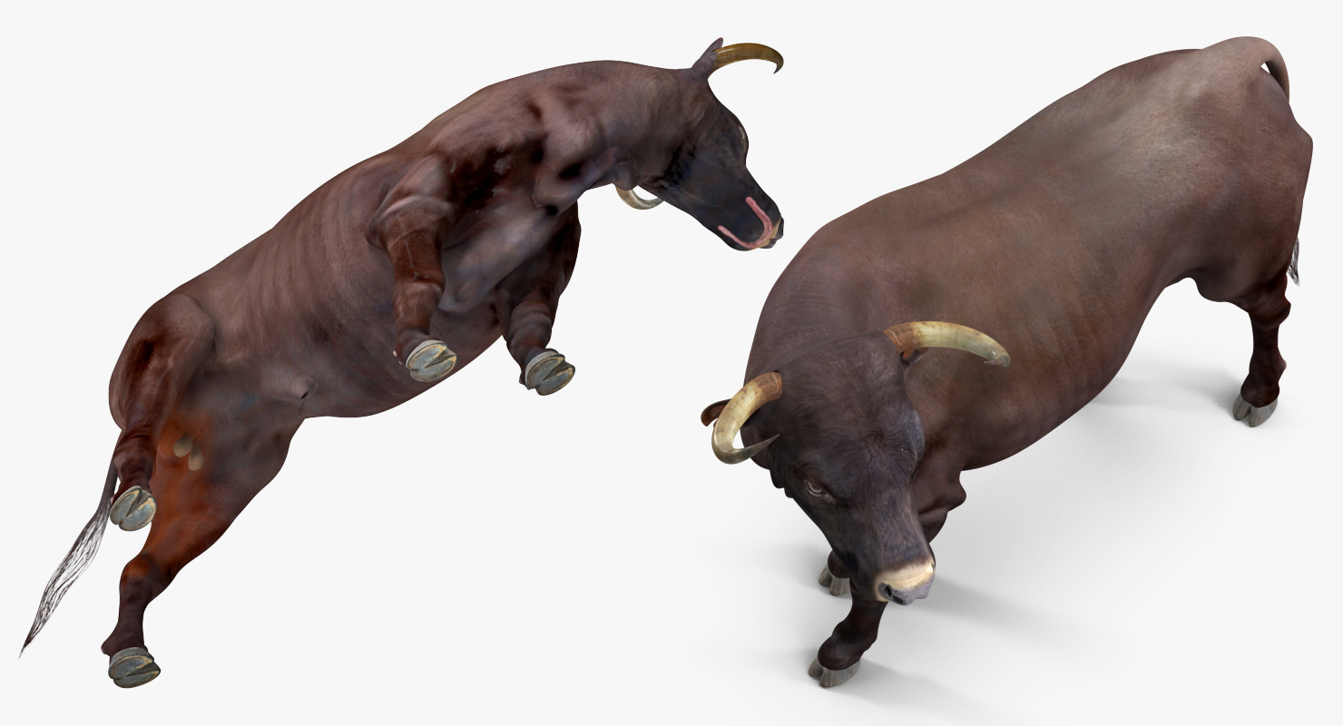 3D Bull Rigged