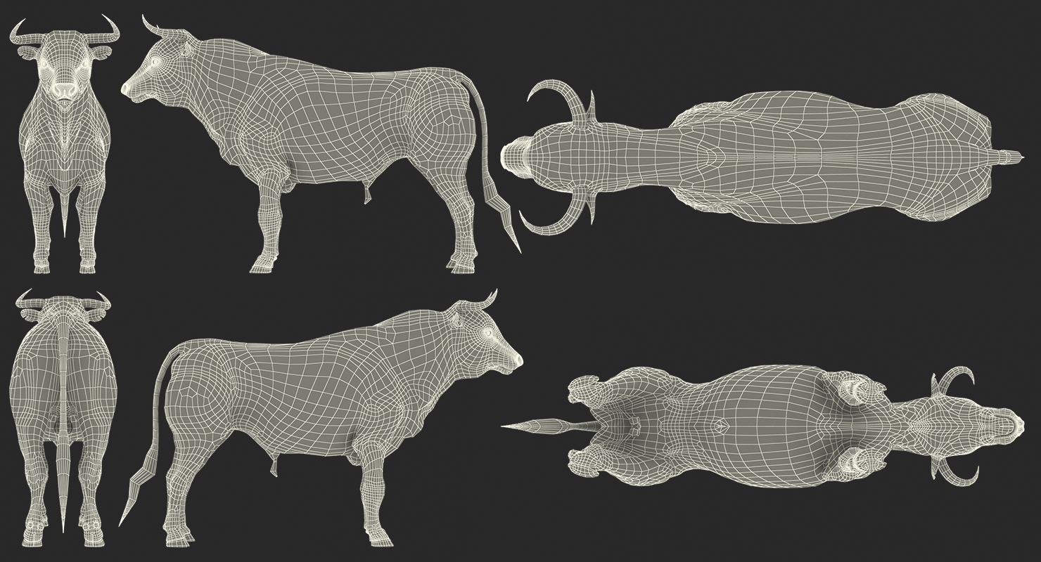 3D Bull Rigged