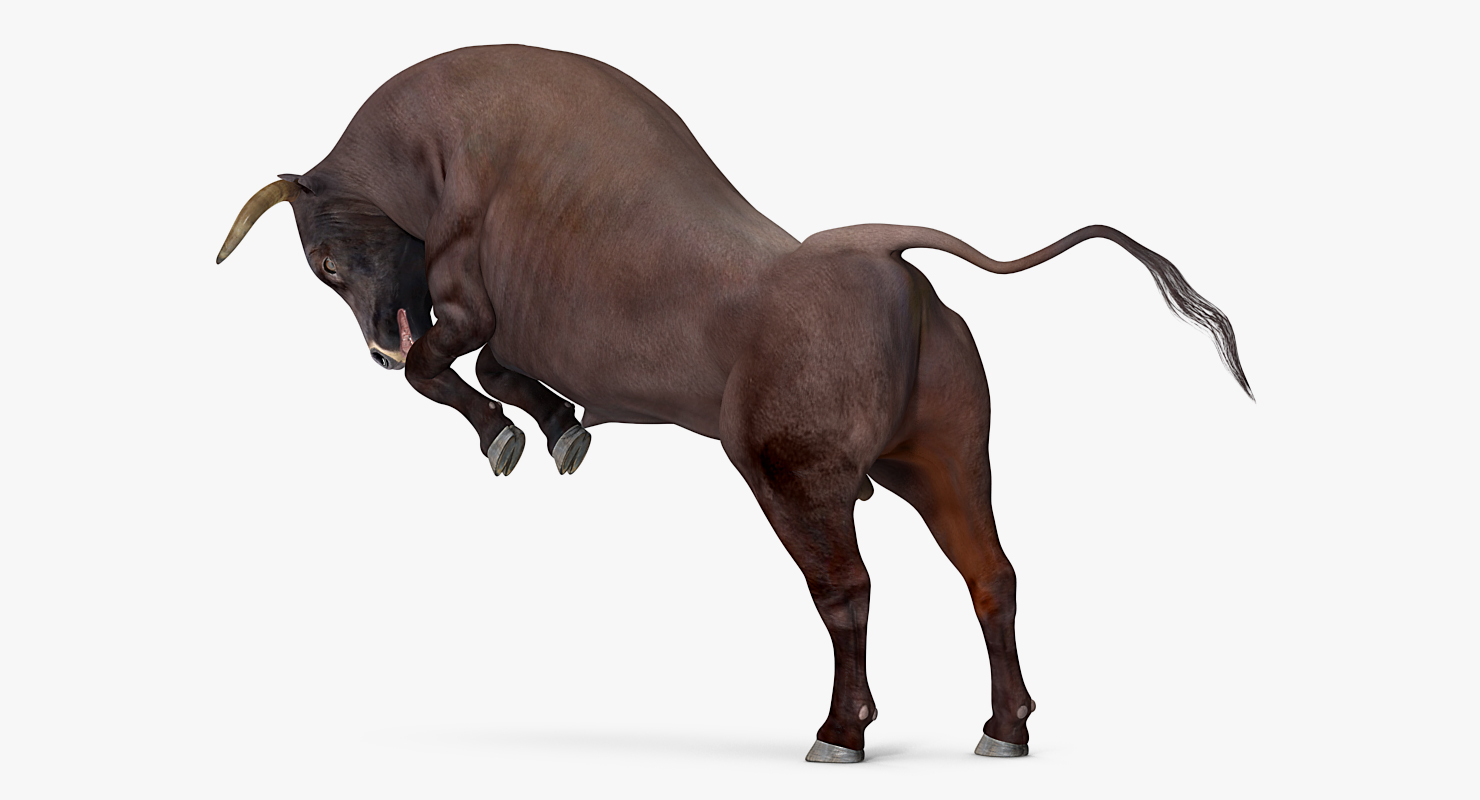 3D Bull Rigged