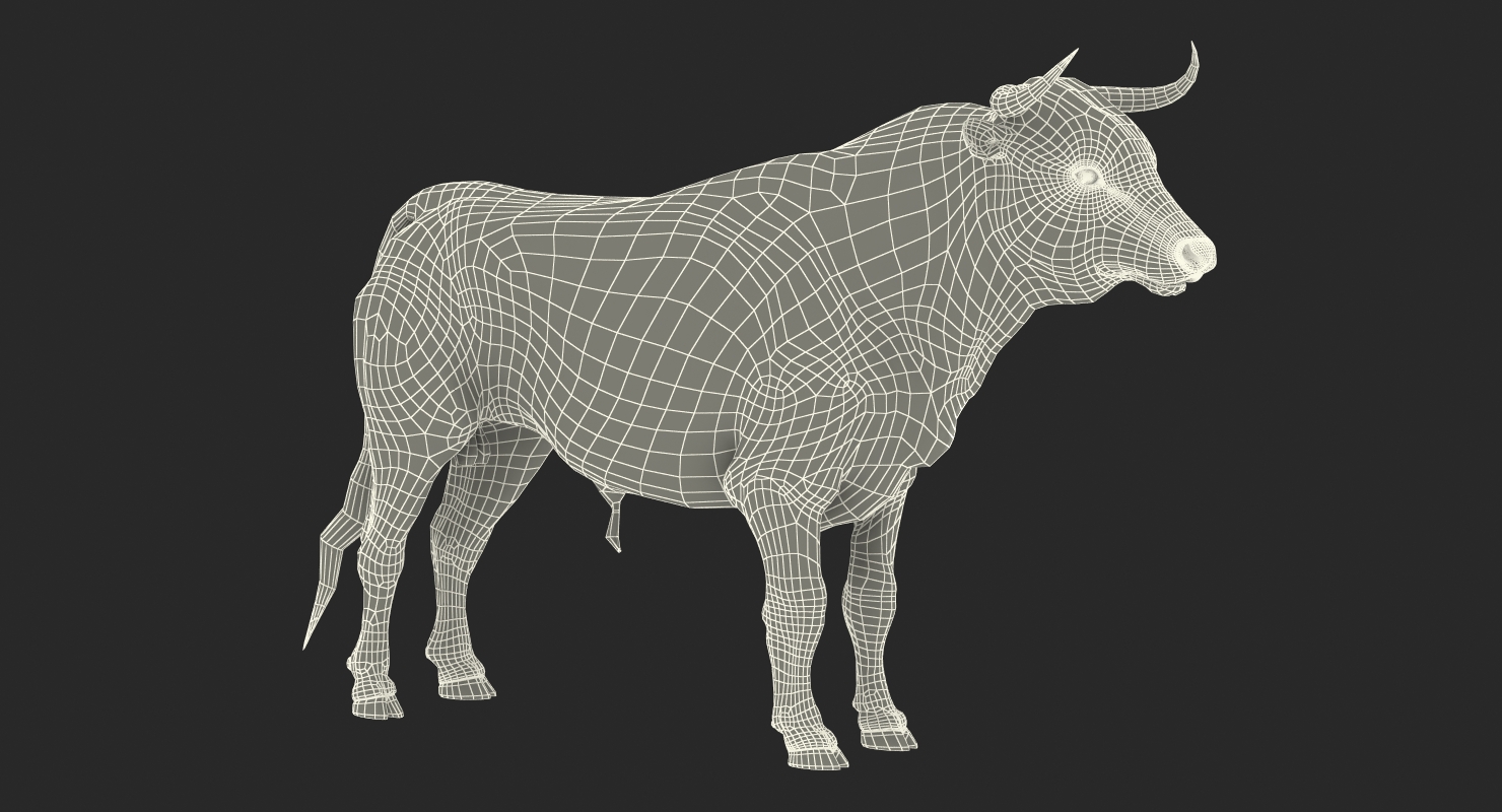 3D Bull Rigged