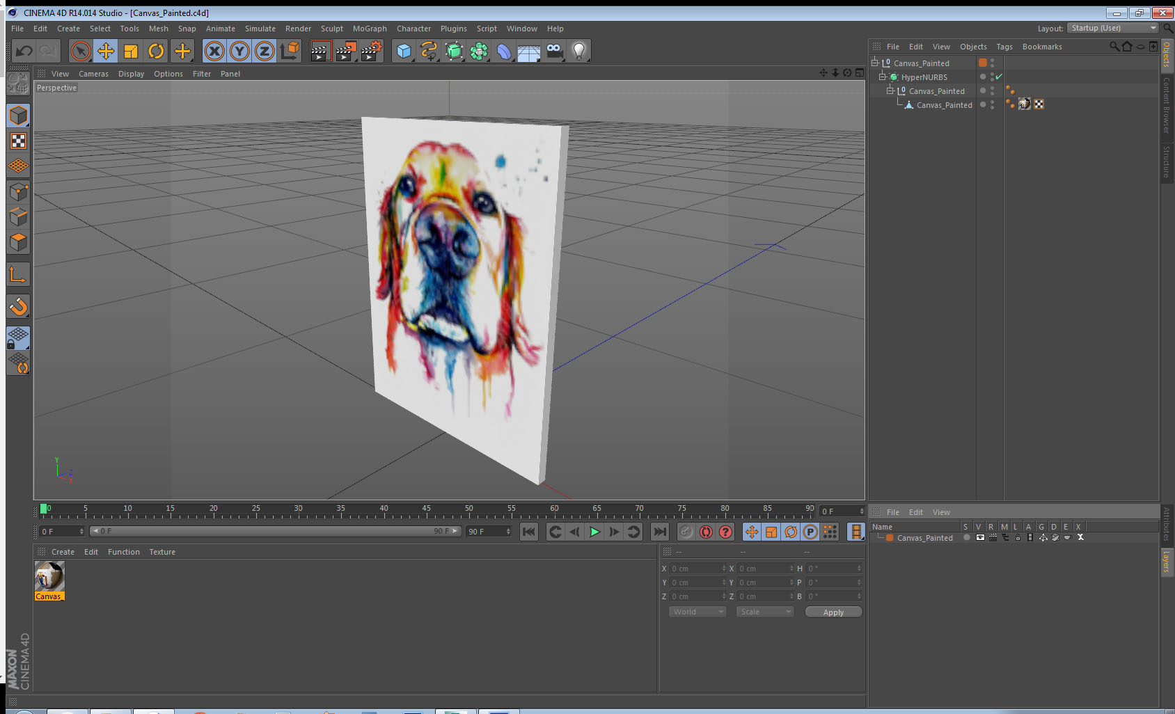 Canvas Painted 3D model