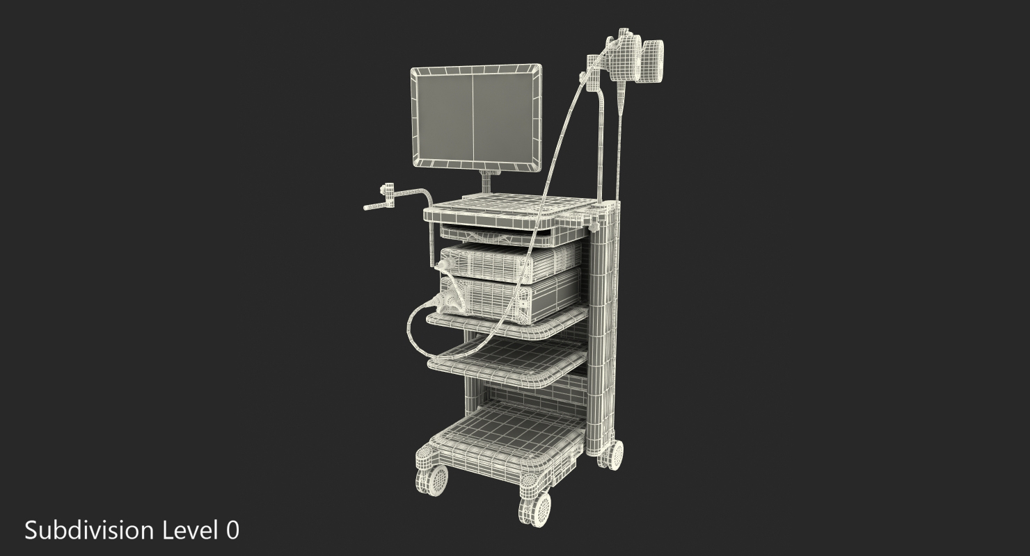 Fujifilm Electronic Video Endoscope System 3D