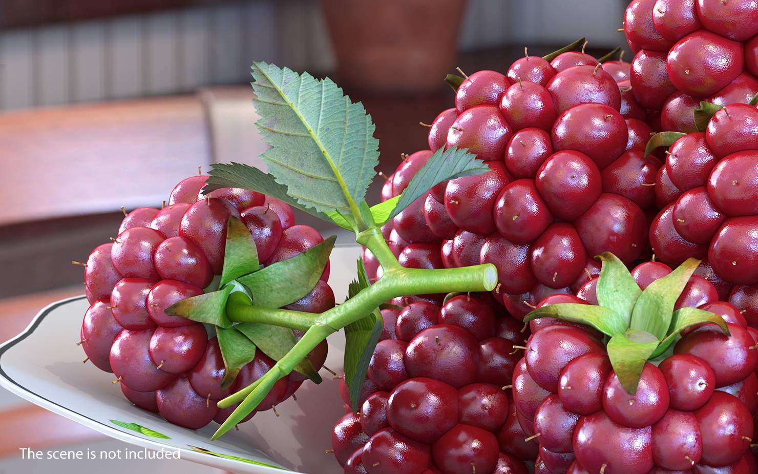 Not Ripe Berry Blackberry with Leaves 3D