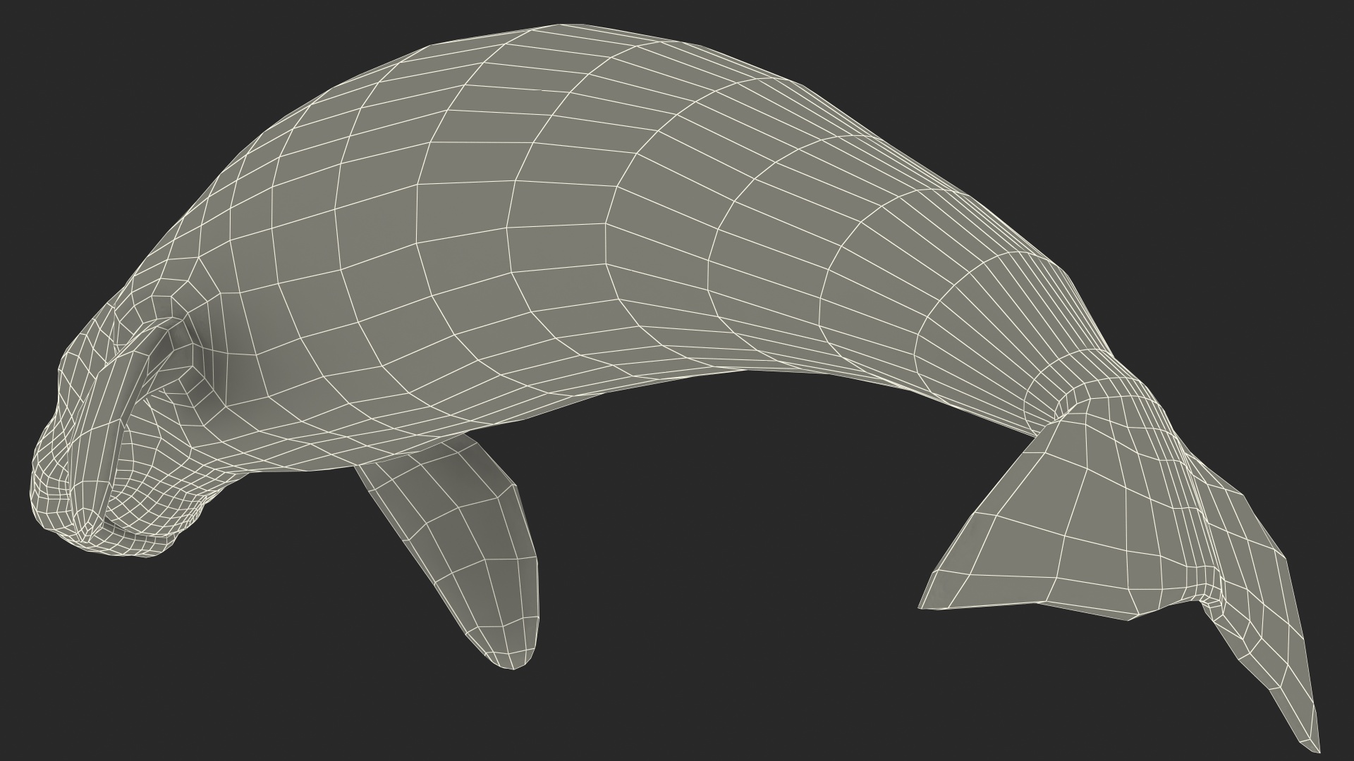 3D model Dugong Swimming Pose