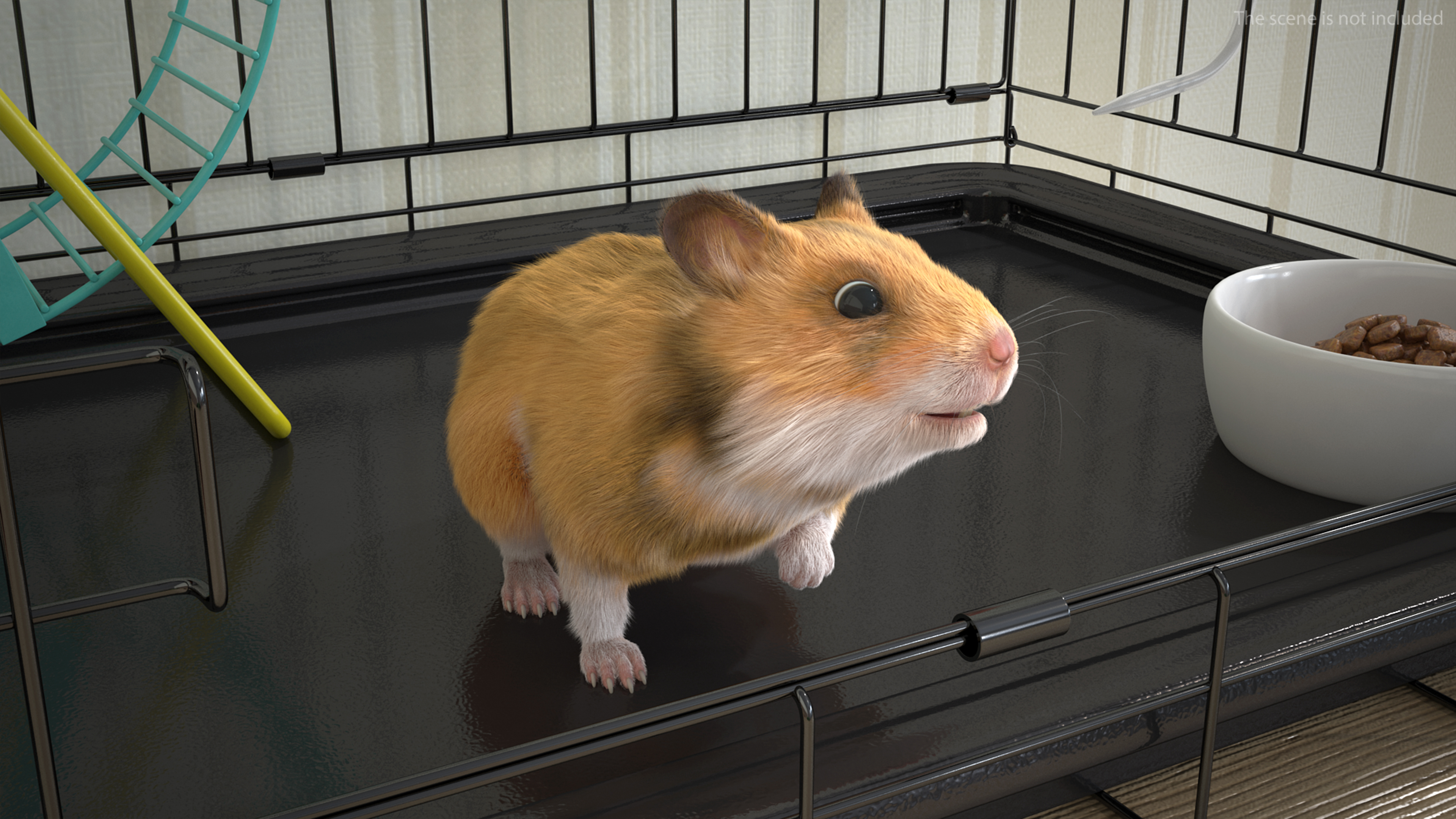 Short Haired Golden Hamster 3D