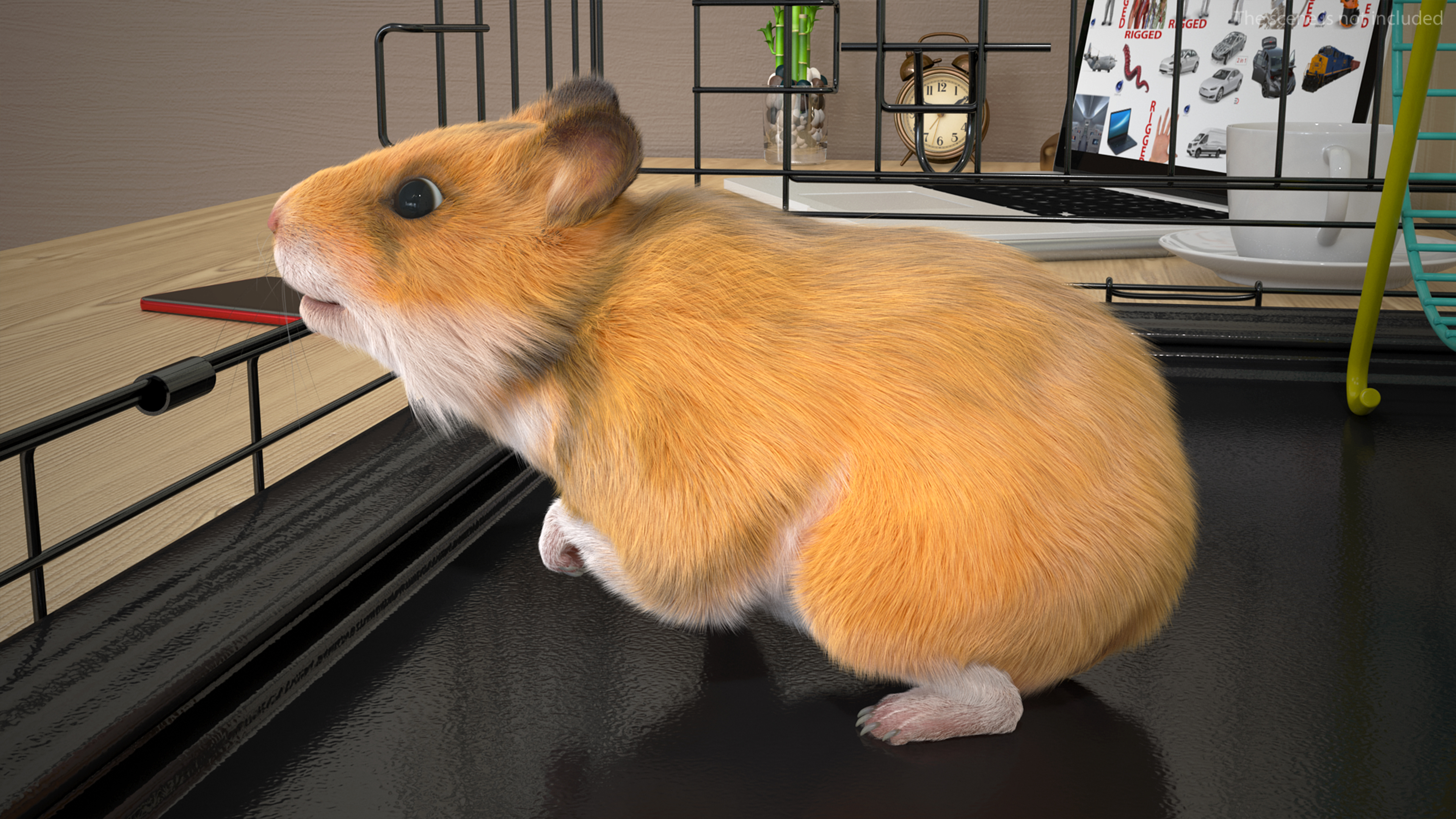 Short Haired Golden Hamster 3D