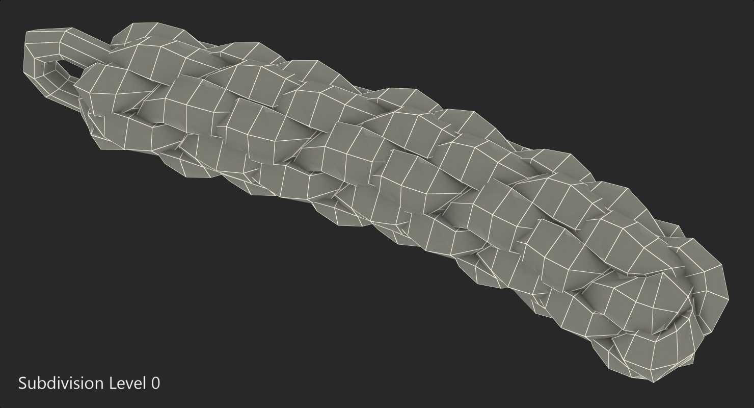 3D Piece of Rope model