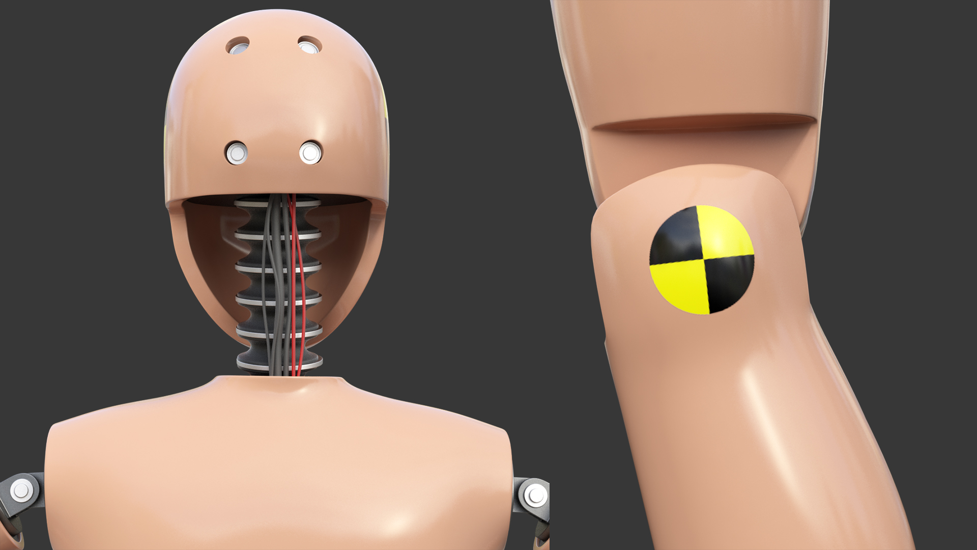 3D model Teenager Crash Test Dummy