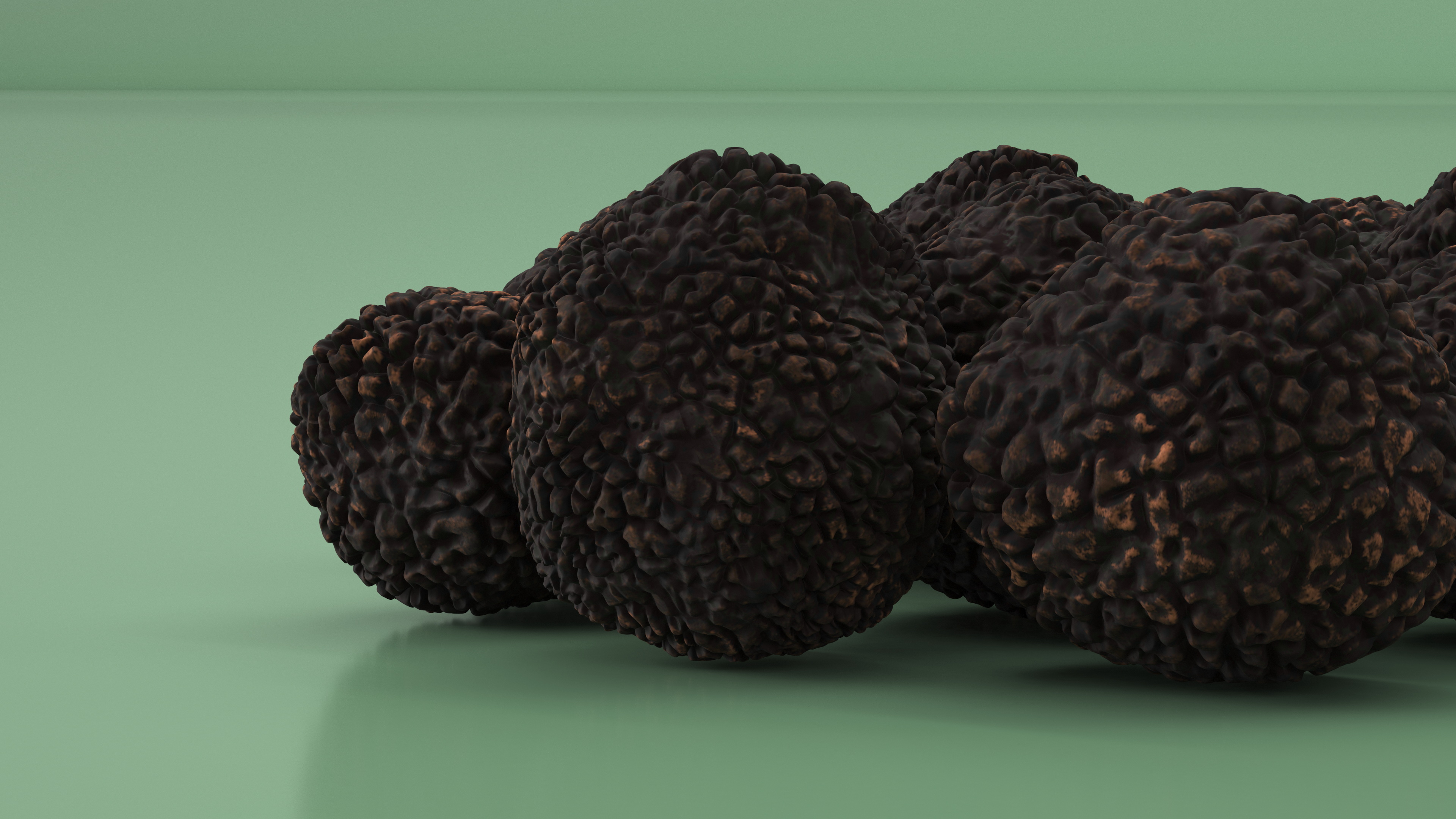 3D Black Truffle model