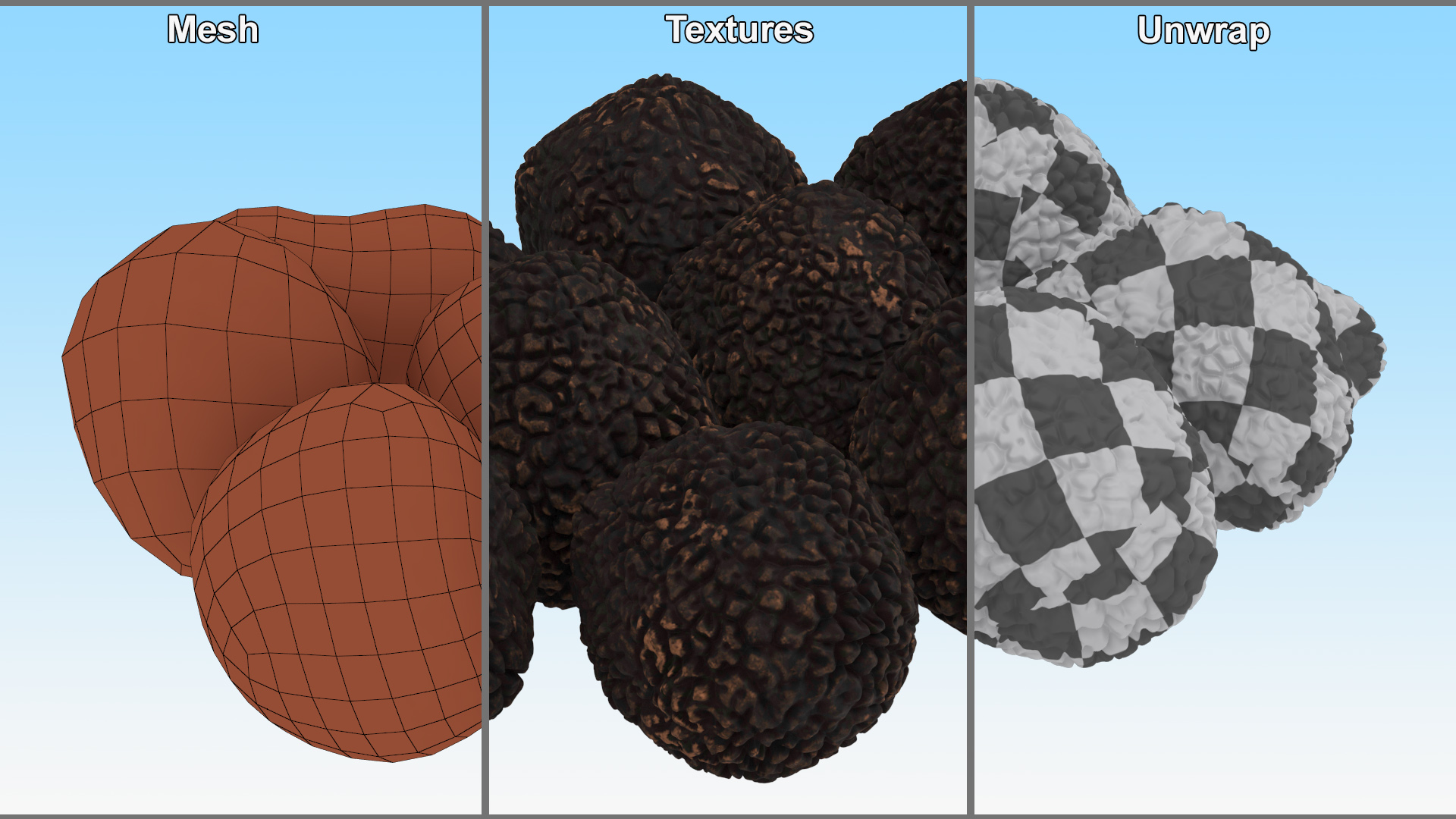 3D Black Truffle model