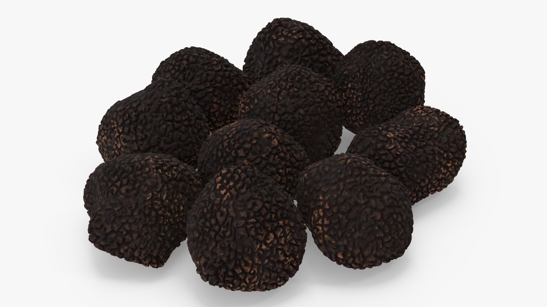 3D Black Truffle model