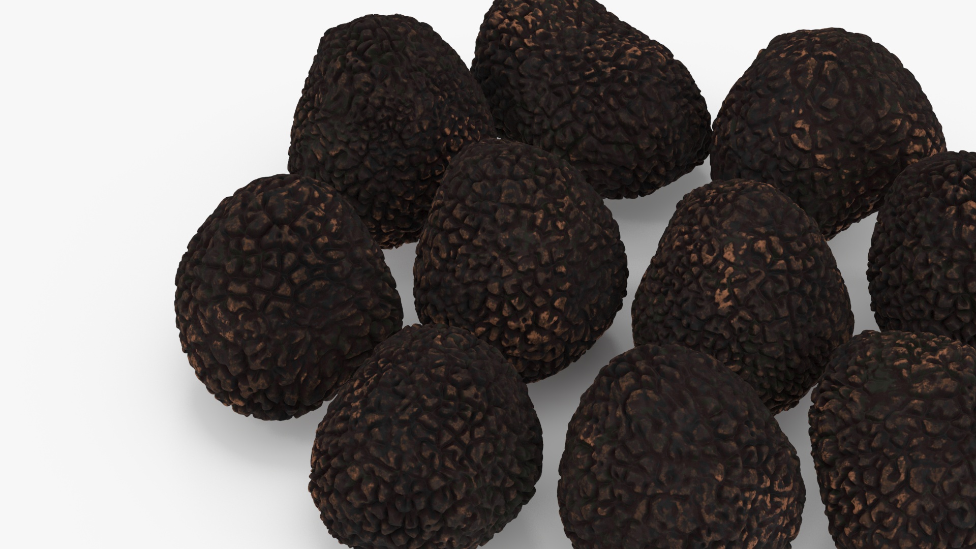 3D Black Truffle model