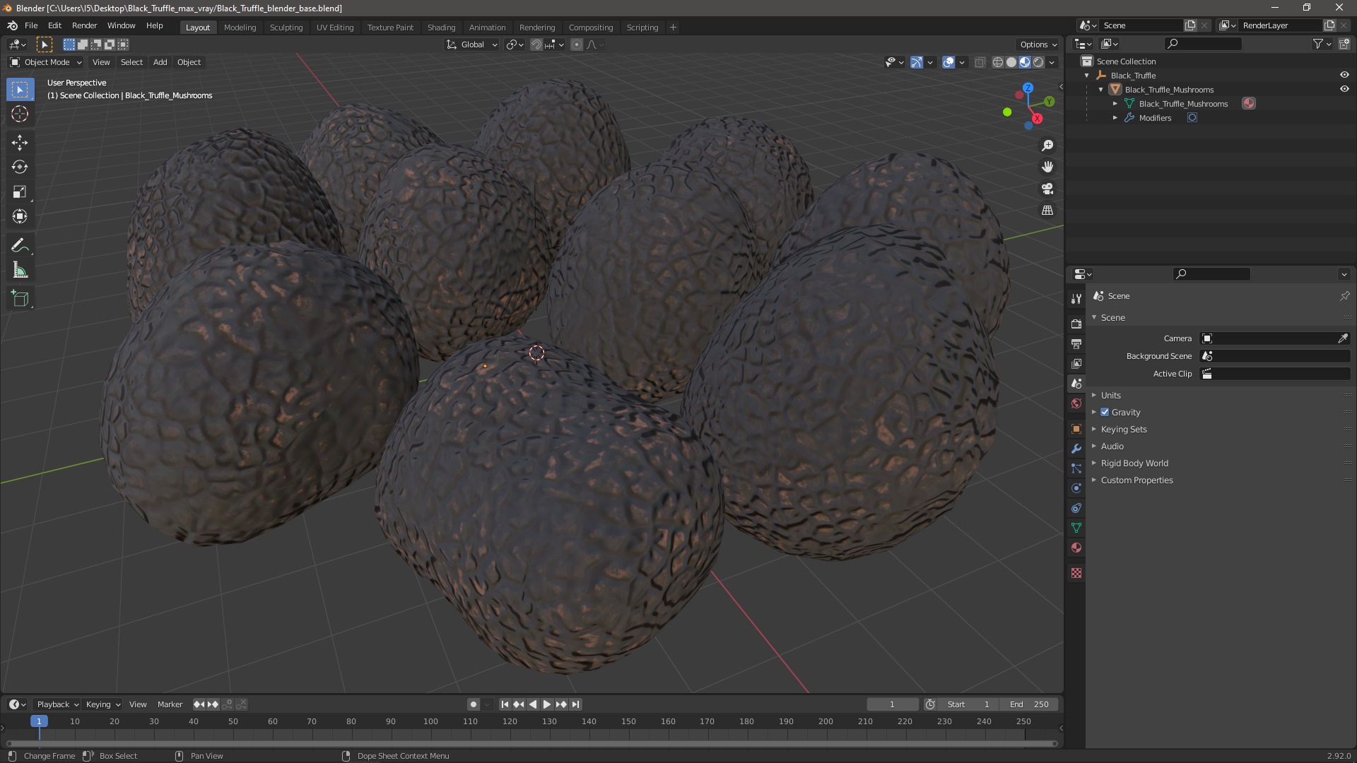 3D Black Truffle model