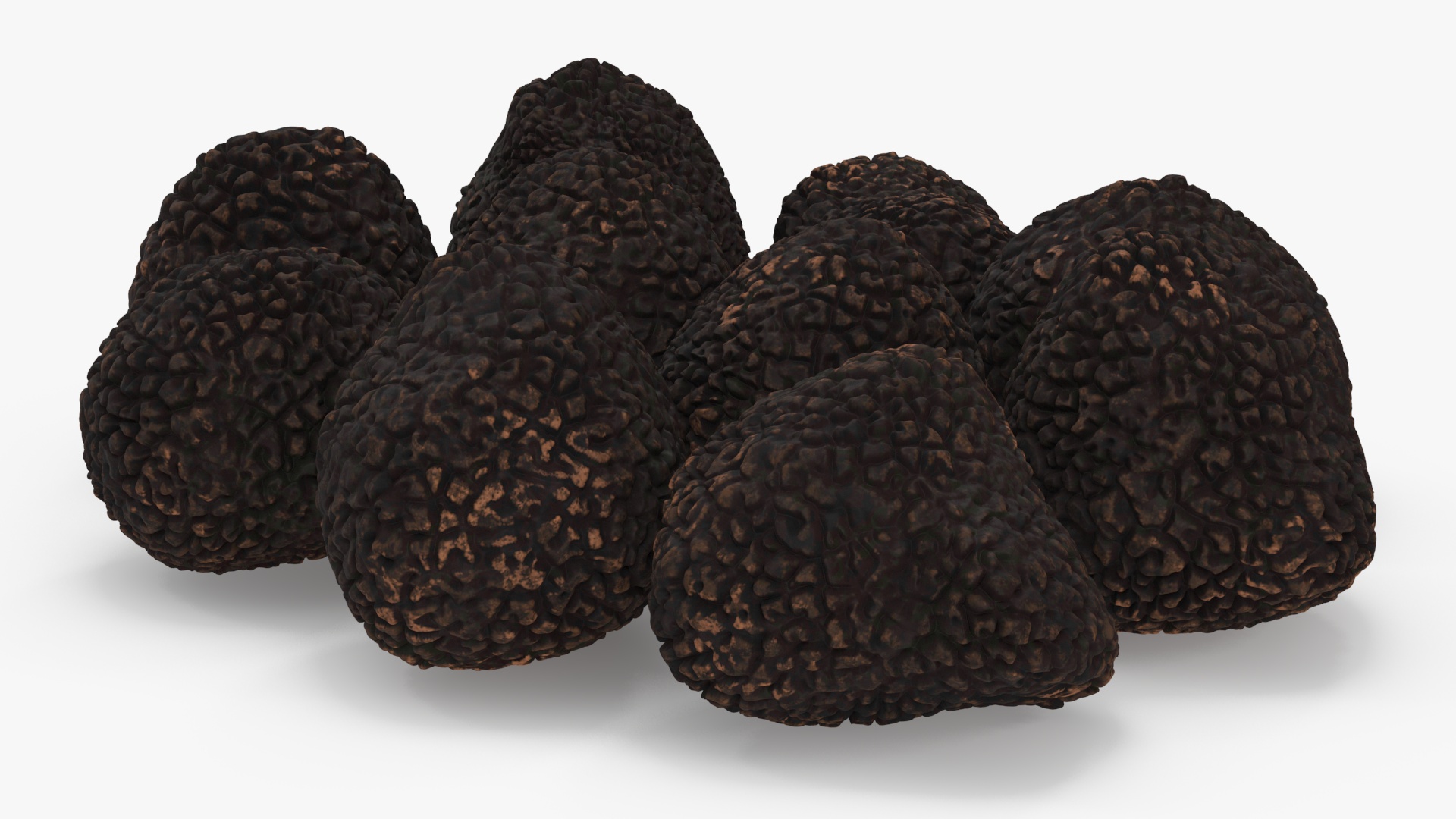 3D Black Truffle model