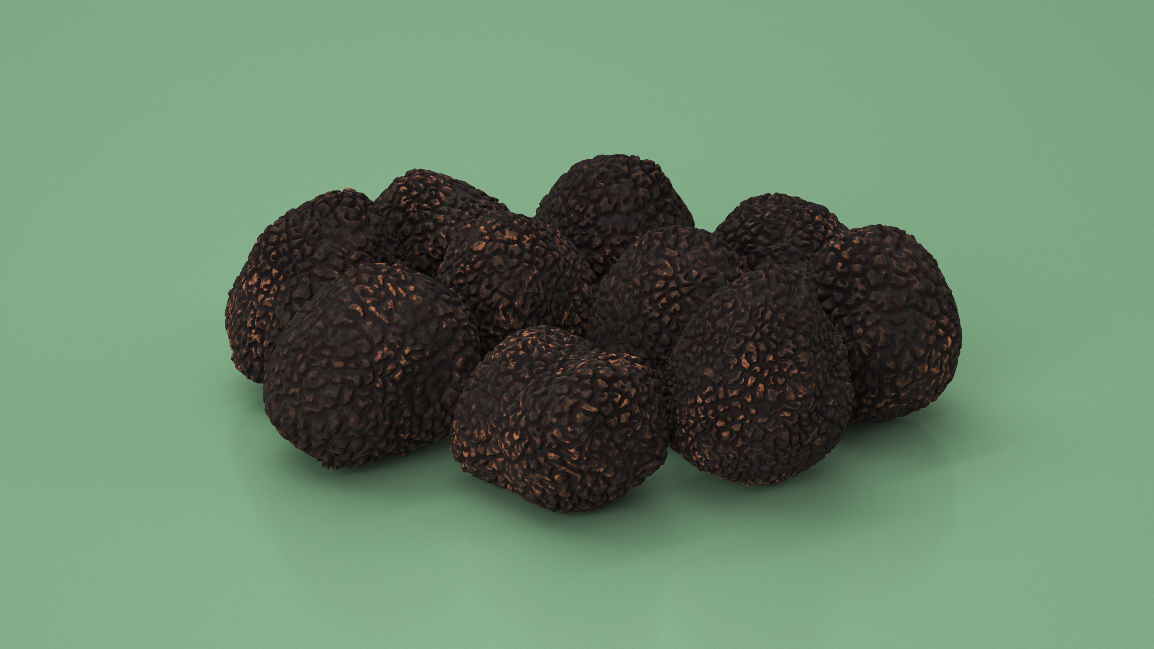 3D Black Truffle model