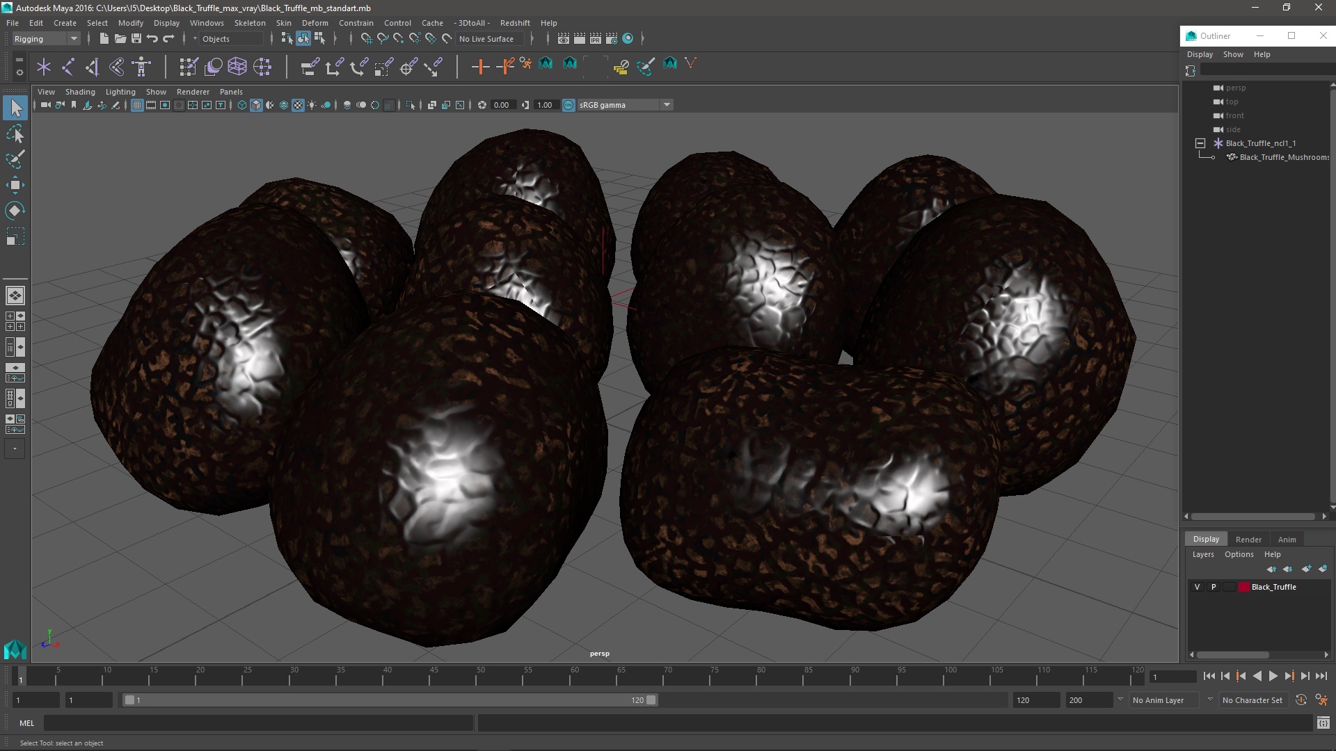 3D Black Truffle model