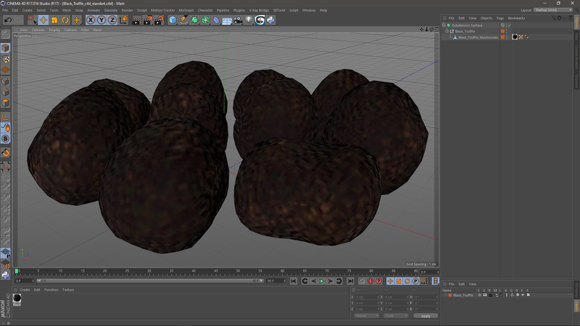 3D Black Truffle model