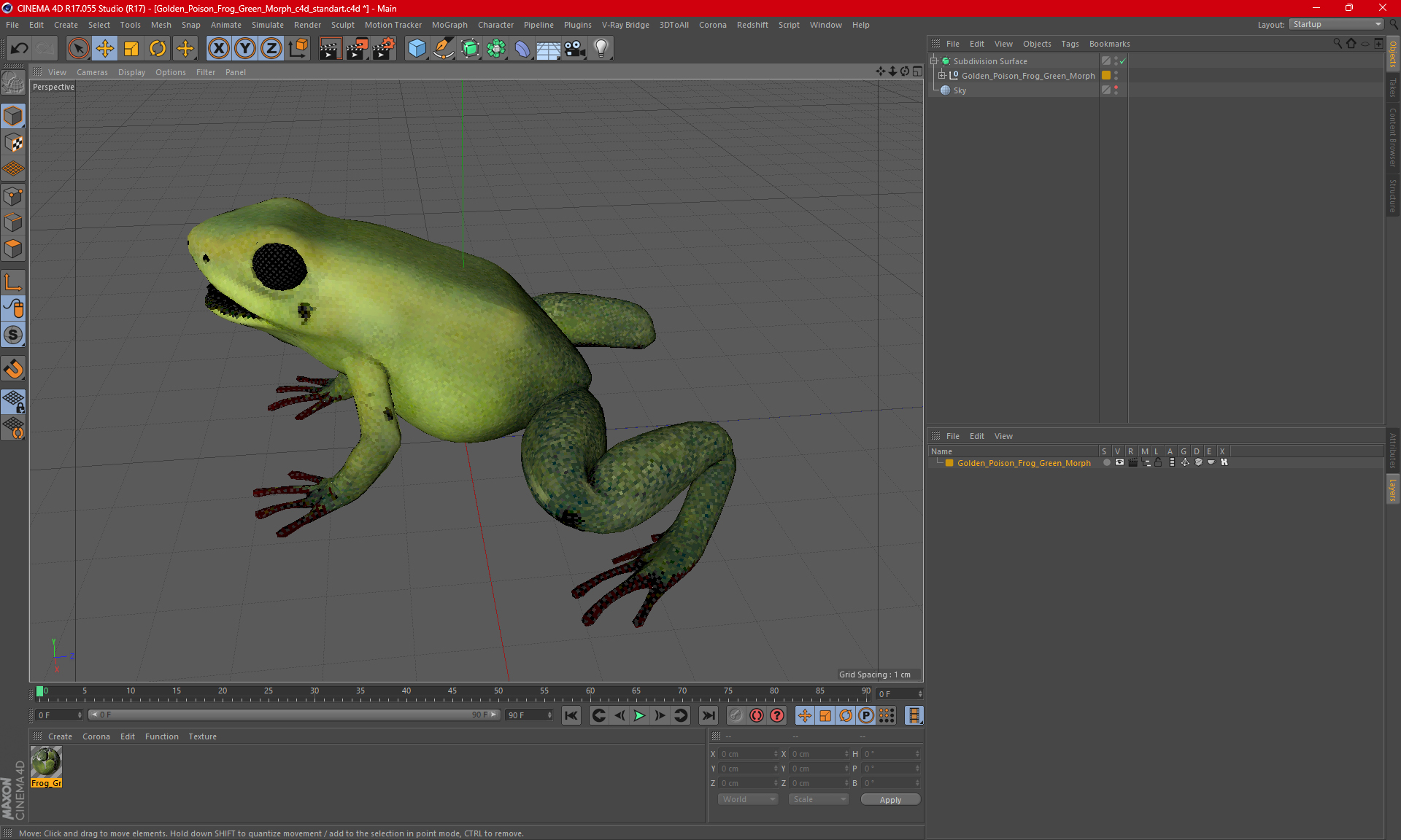 3D model Golden Poison Frog Green Morph