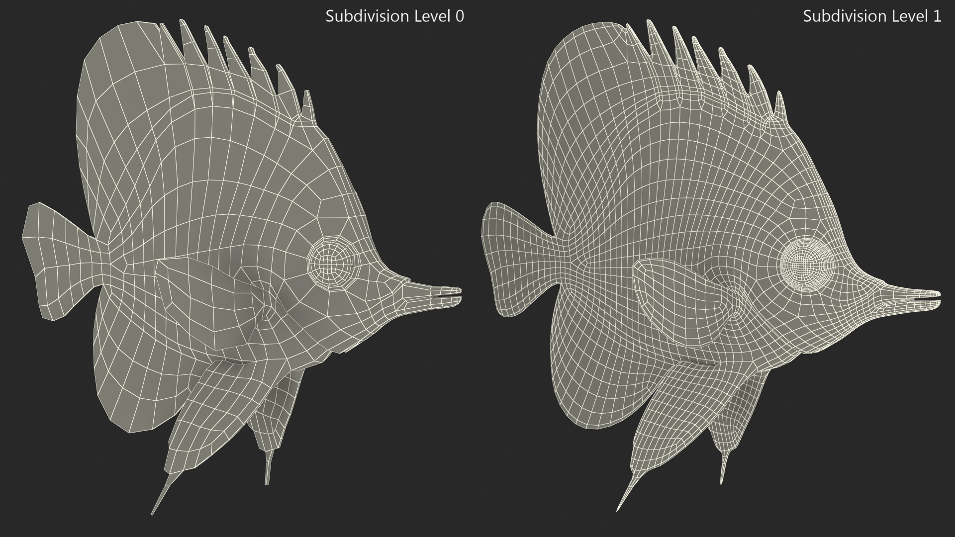 Copperband Butterflyfish 3D model