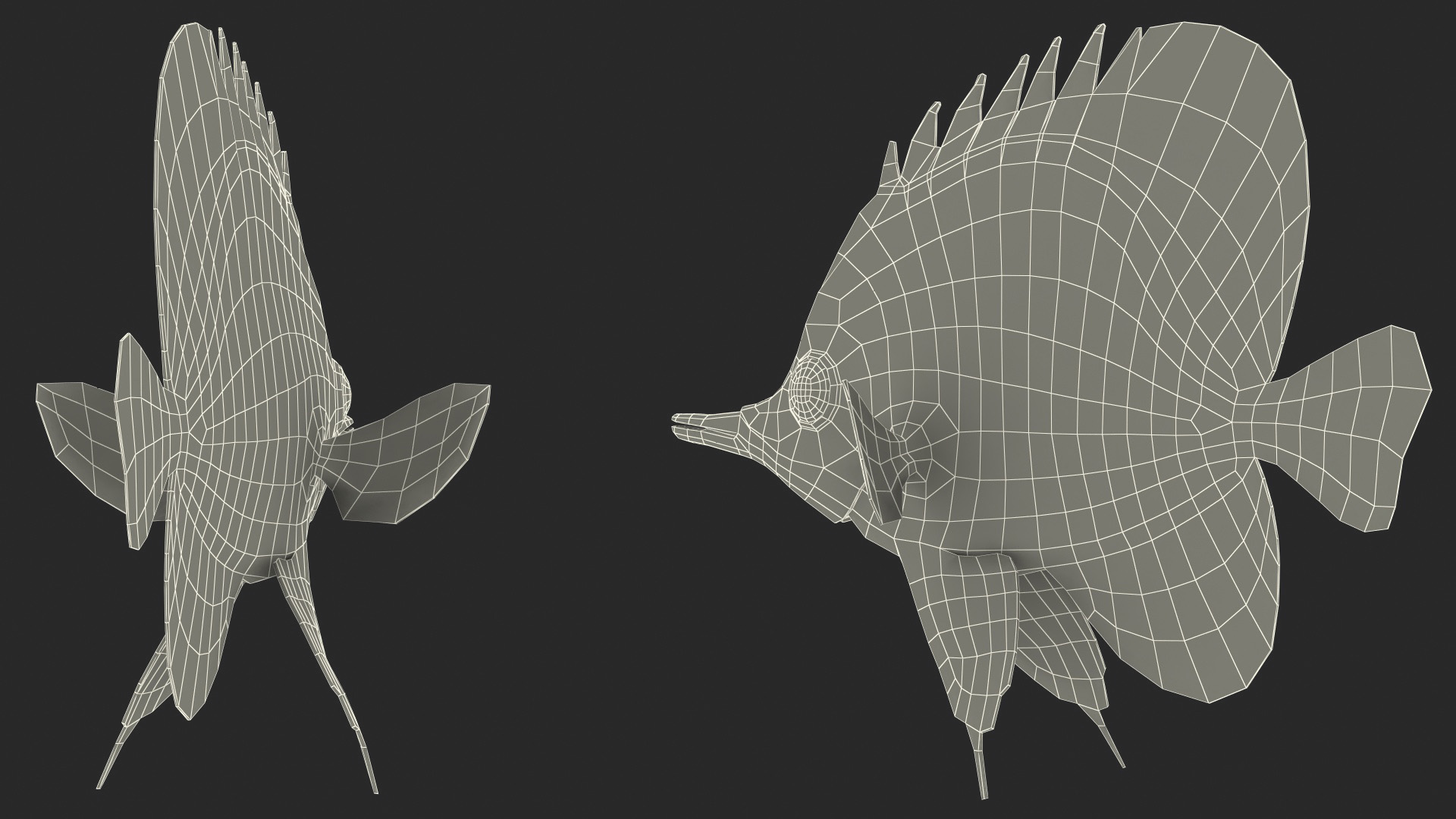 Copperband Butterflyfish 3D model