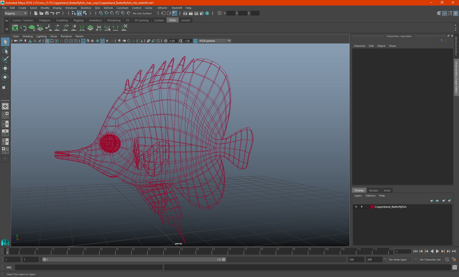 Copperband Butterflyfish 3D model